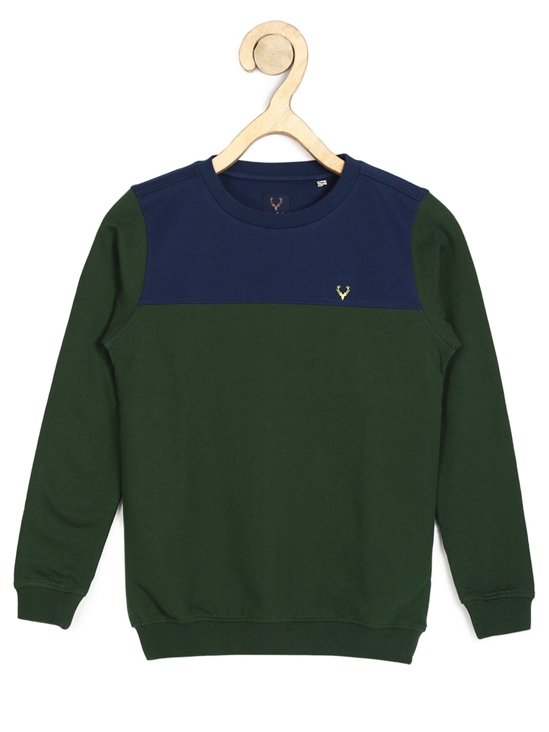 

Allen Solly Junior Boys Colourblocked Pure Cotton Pullover Sweatshirt, Green