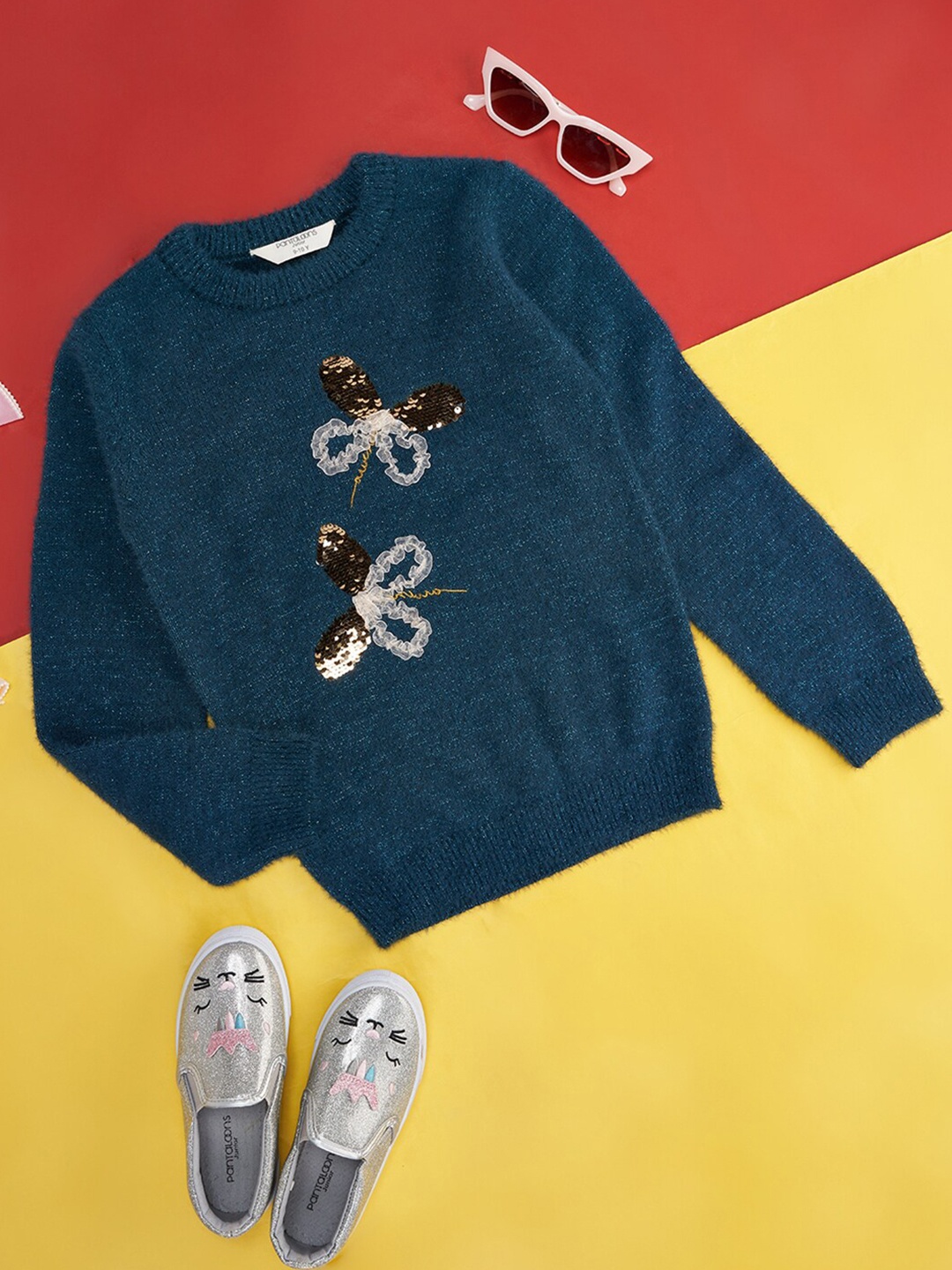 

Pantaloons Junior Girls Floral Embellished Ribbed Acrylic Pullover Sweater, Blue