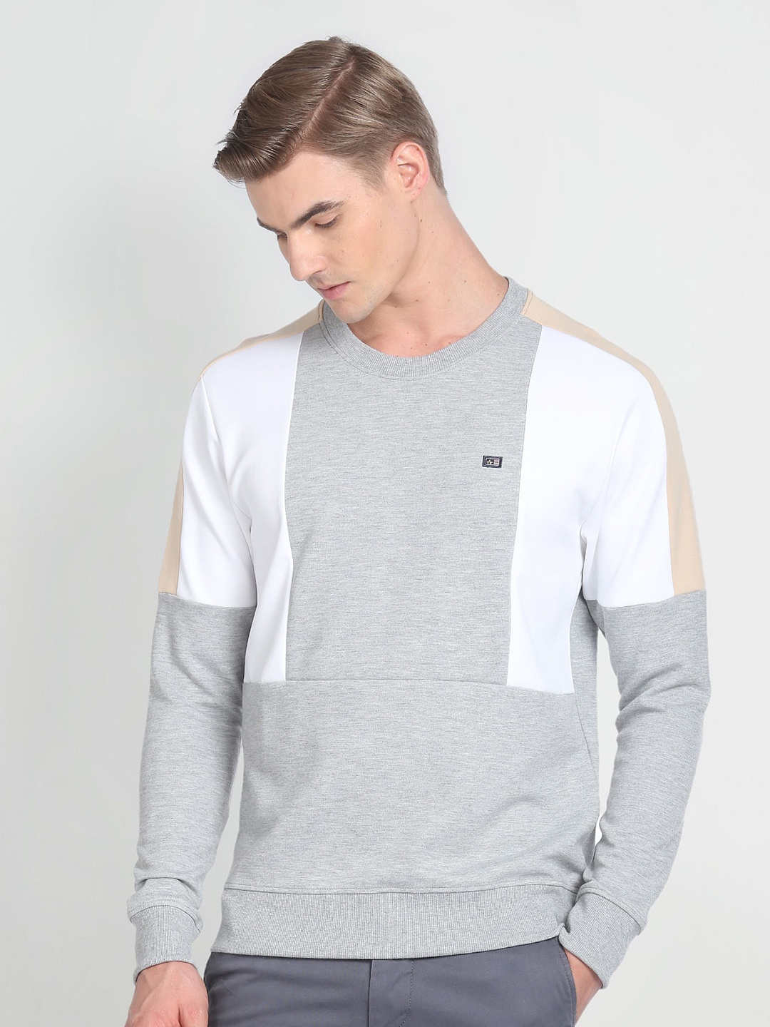 

Arrow Sport Colourblocked Round Neck Pullover Sweatshirt, Grey