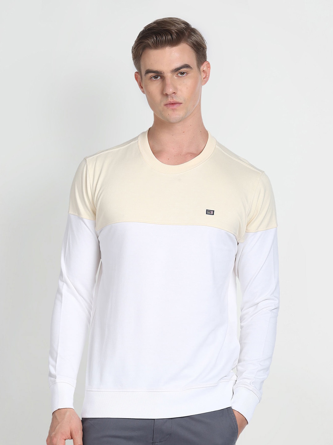 

Arrow Sport Colourblocked Crew Neck Pullover Sweatshirt, White