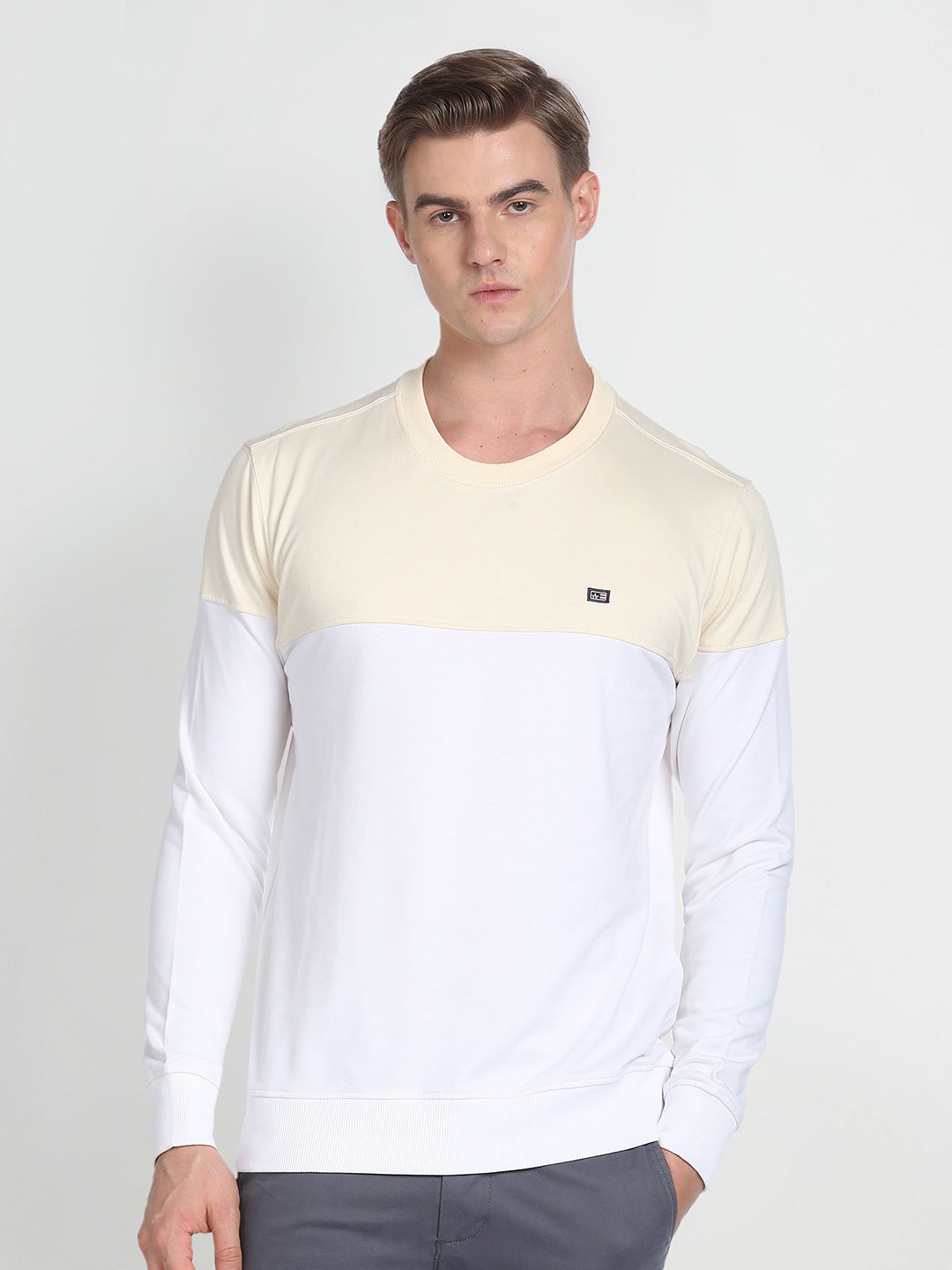 

Arrow Sport Colourblocked Long Sleeves Pullover, White