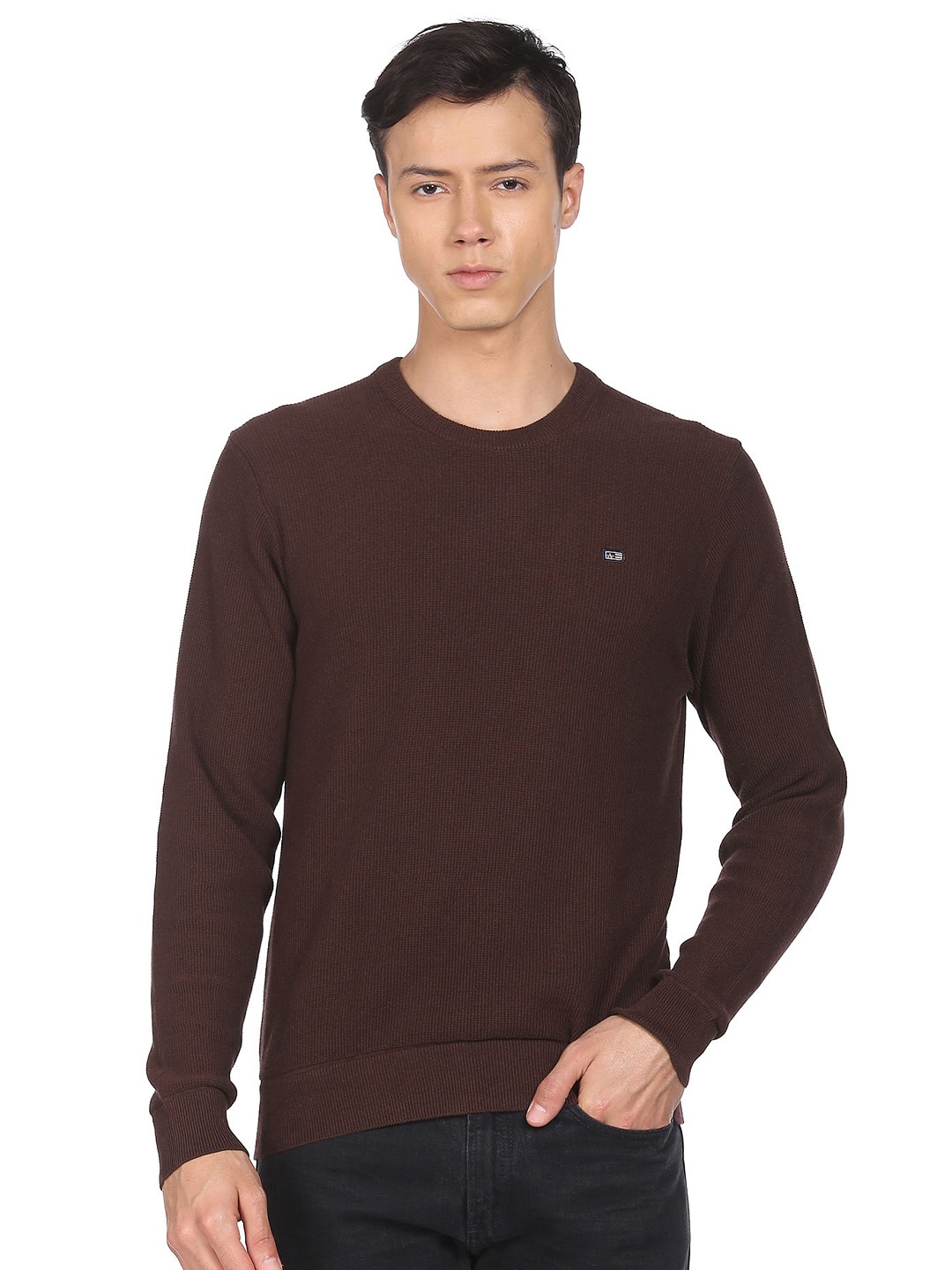 

Arrow Sport Cable Knit Self Design Pullover Sweater, Brown