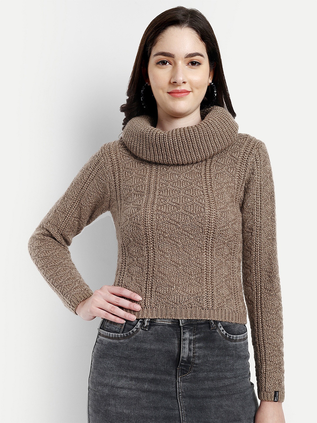 

CREATIVE LINE Turtle Neck Self Design Woollen Pullover, Beige