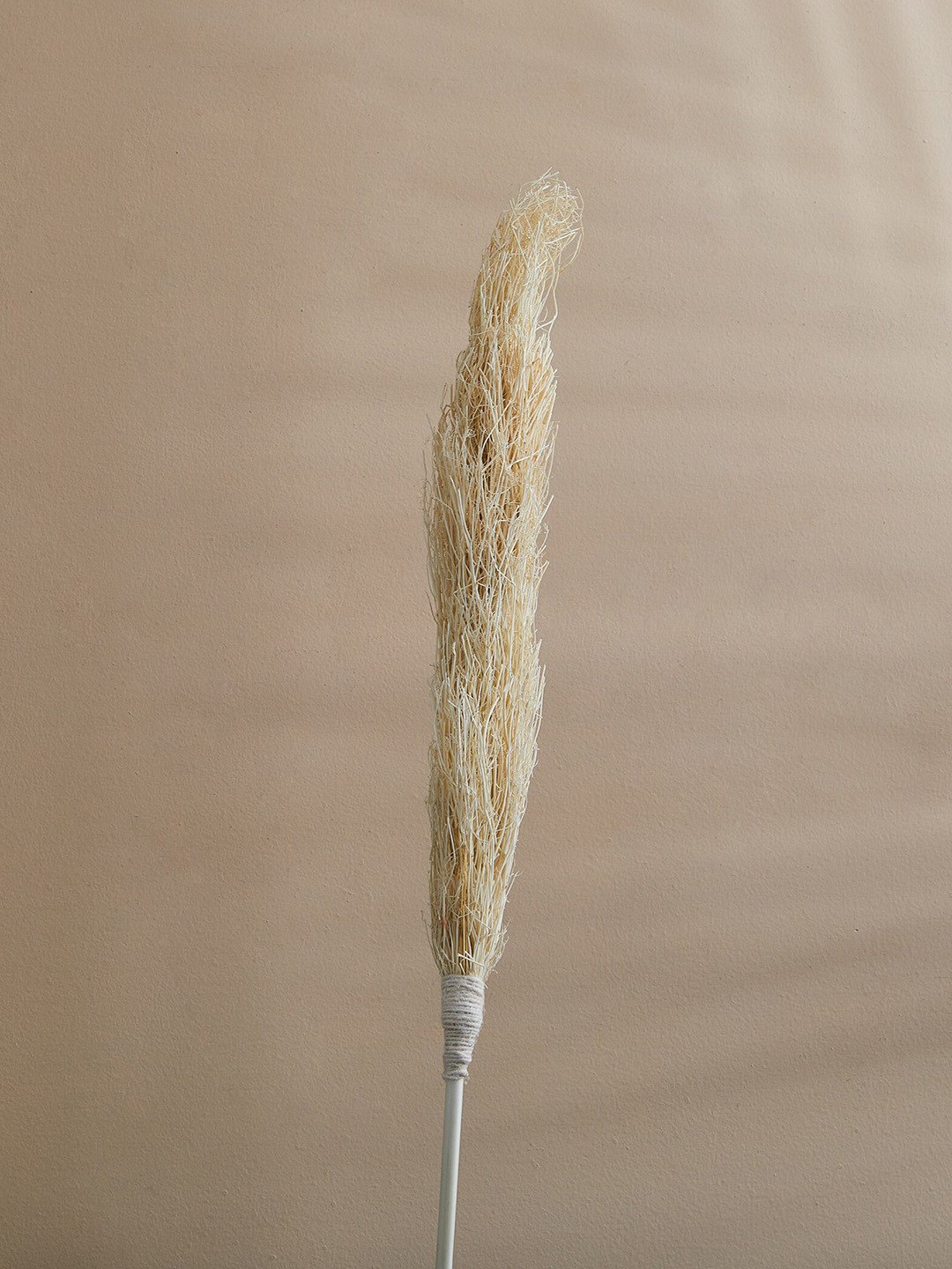 

Home Centre Brown Botanical Tails Dried Coriander Stick