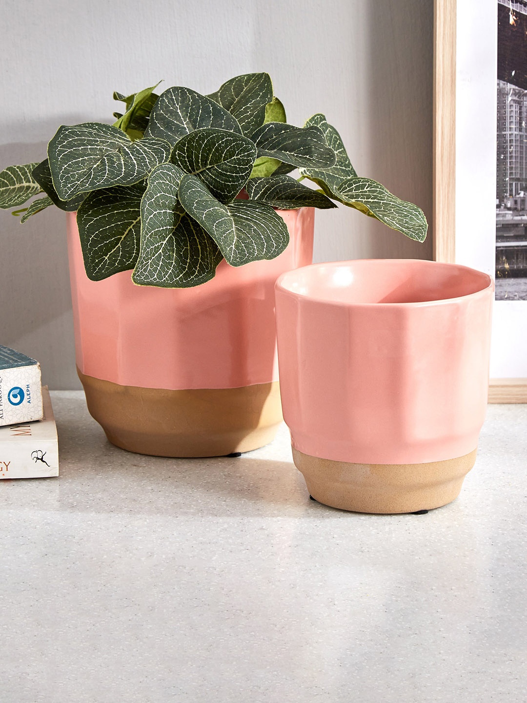 

Home Centre Colour Refresh Pink Ceramic Round Planter