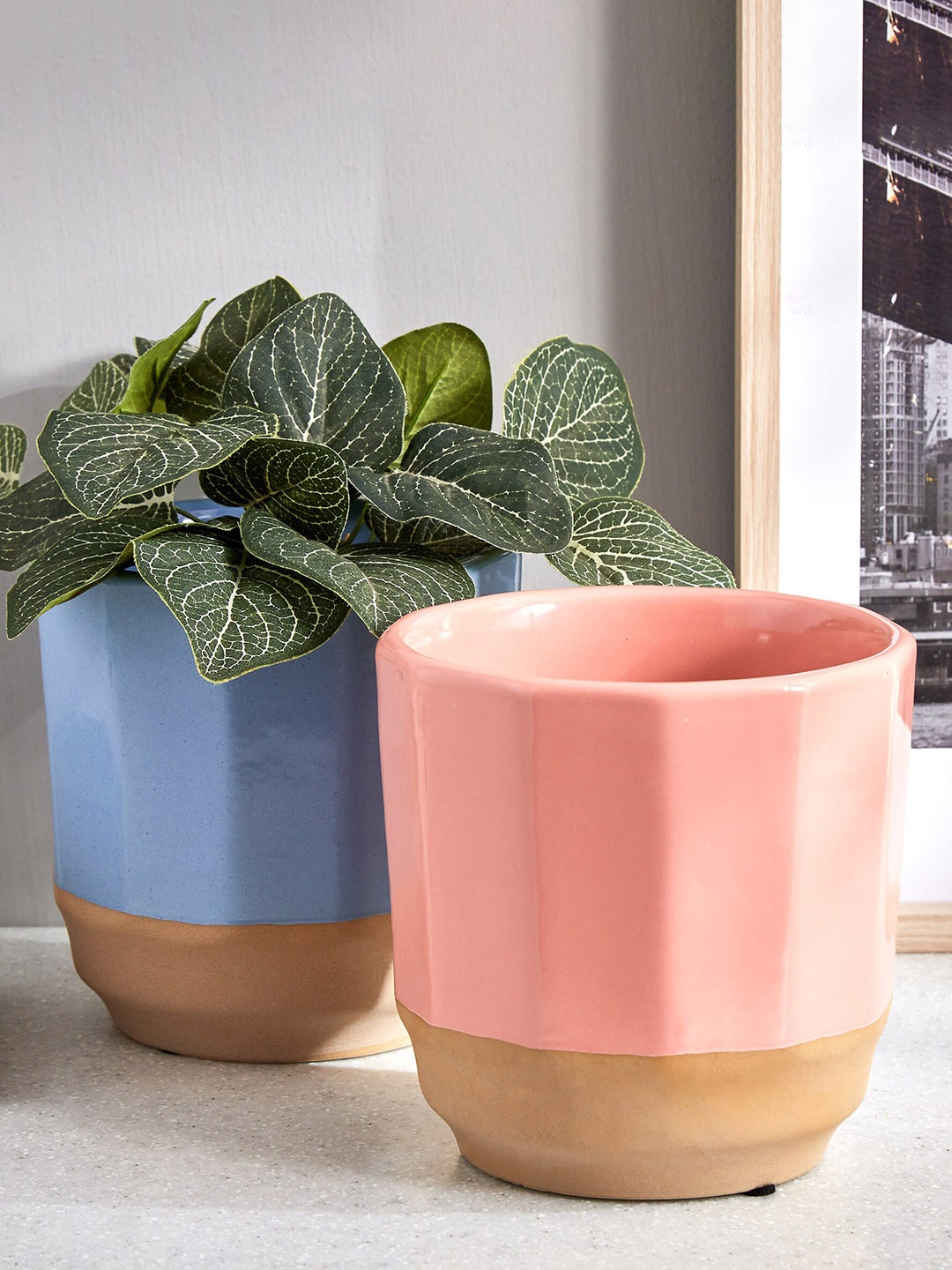 

Home Centre Colour Refresh Blue & Brown Colorblocked Ceramic Round Planter