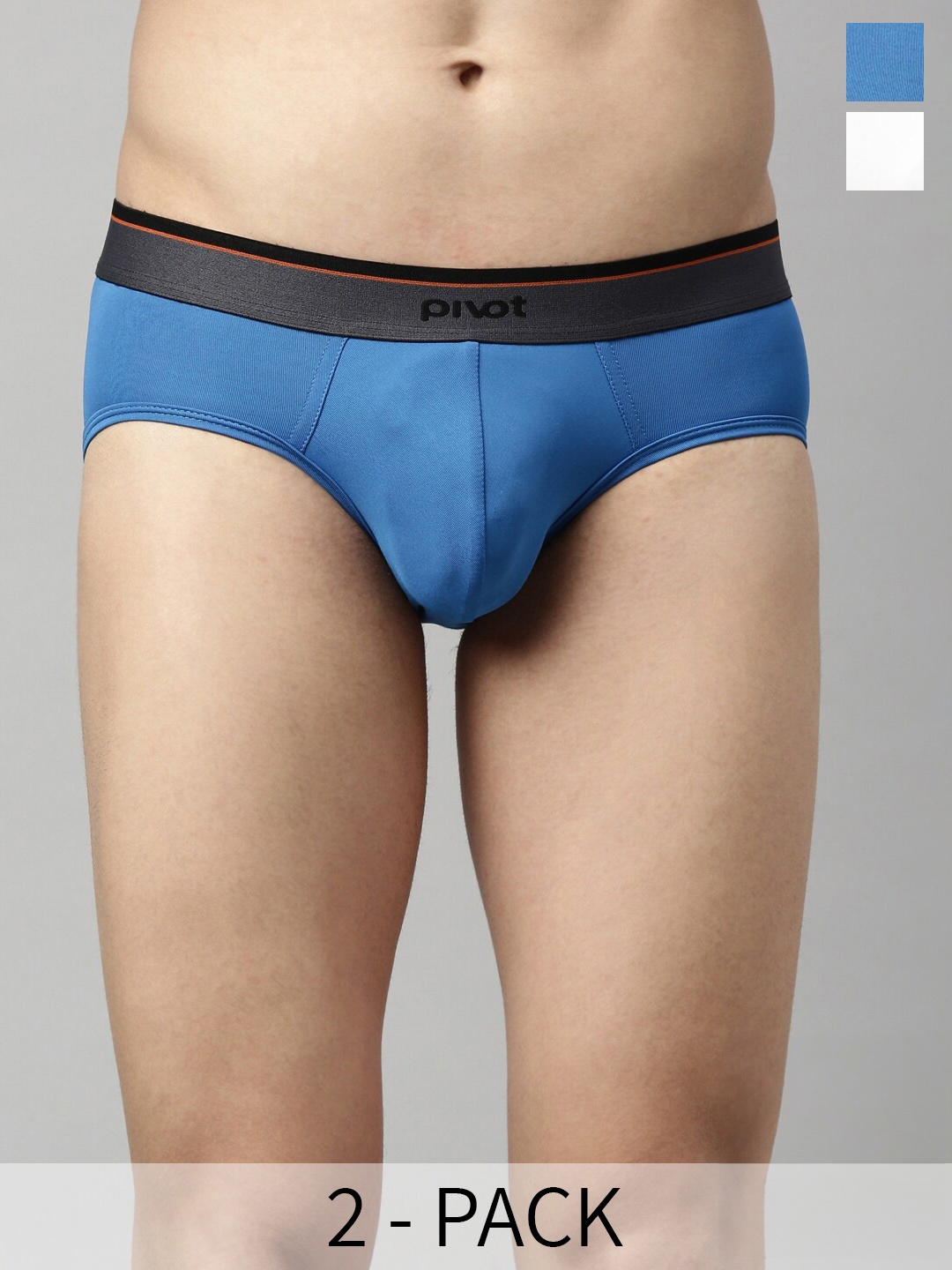 

pivot Pack Of 2 Assorted Basic Briefs P2MIWB22-009R3