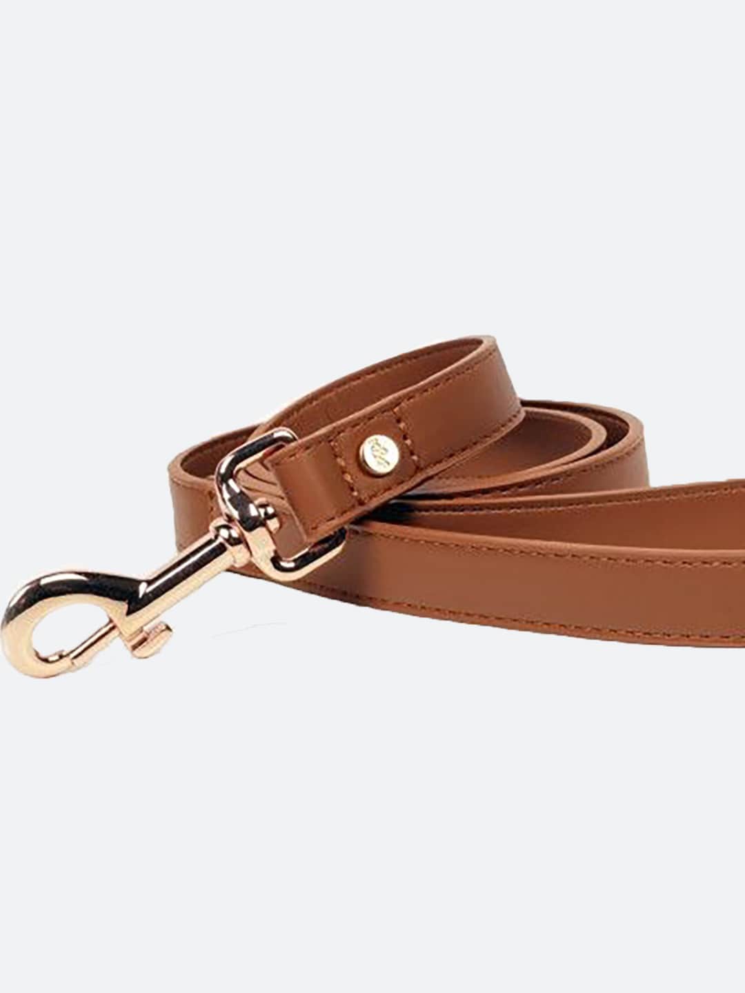

Milk & Pepper Brown Training Dog Leash With Buckle Fastening