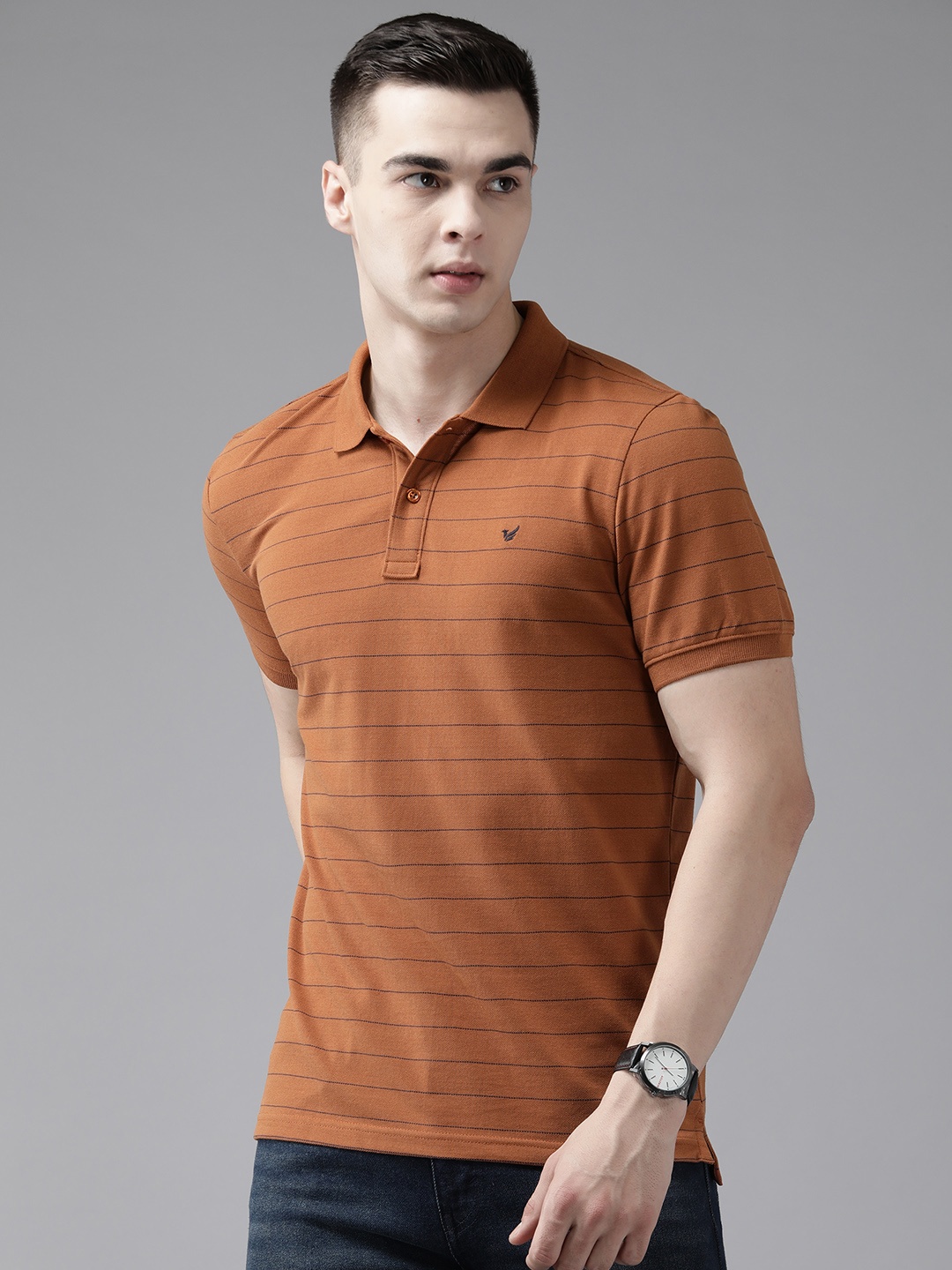 

Blackberrys Striped Polo Collar Slim Fit T-shirt, Rust