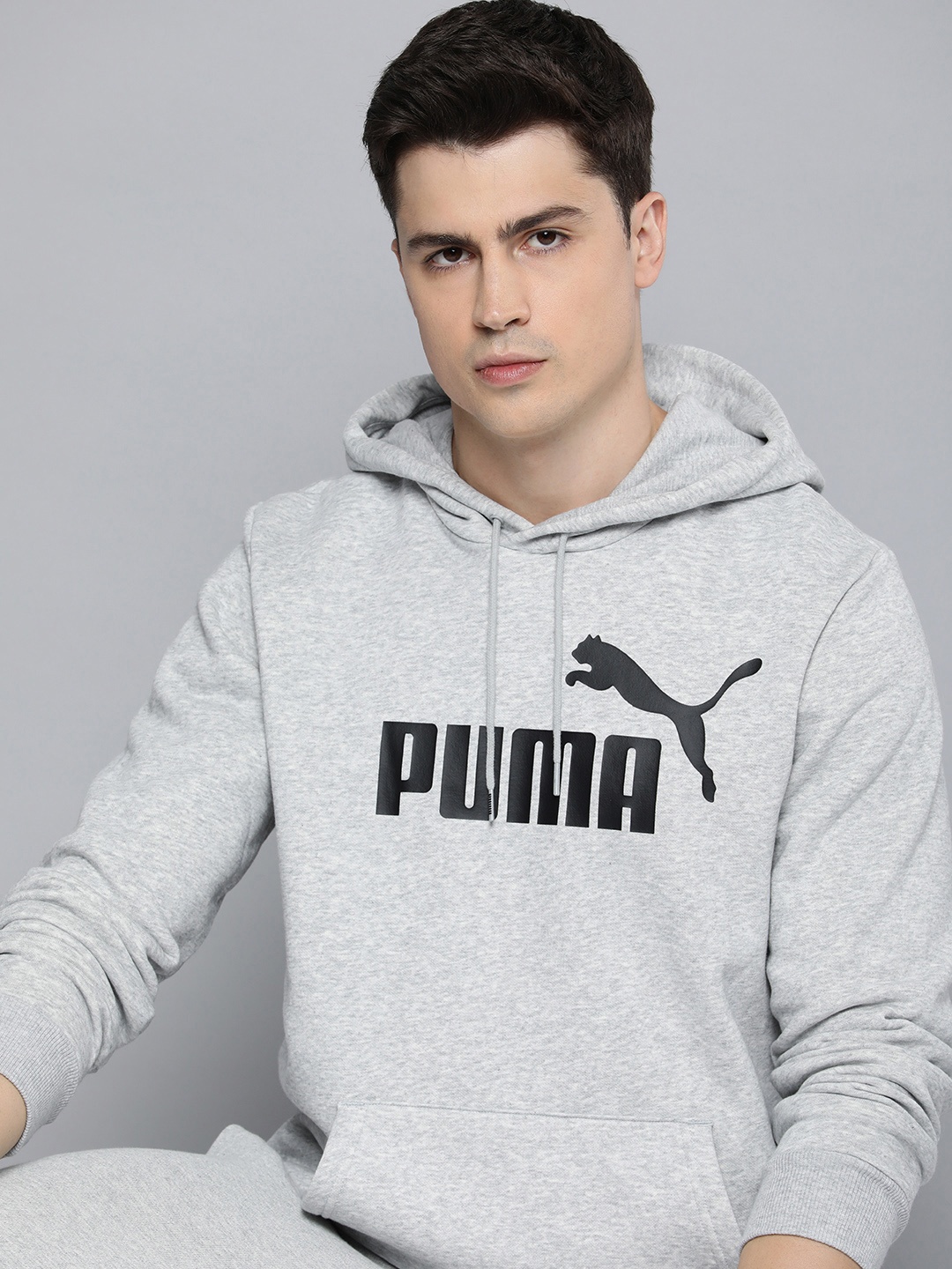 

Puma Essential Big Logo Regular Fit Printed Hooded Sweatshirt, Grey melange