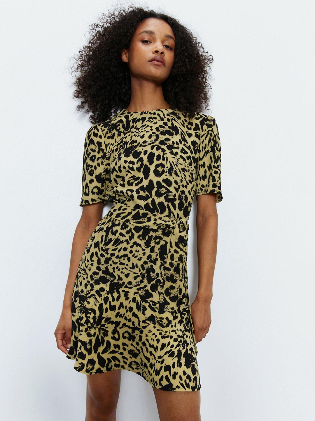 

WAREHOUSE Leopard Print A-Line Mini Dress, Beige