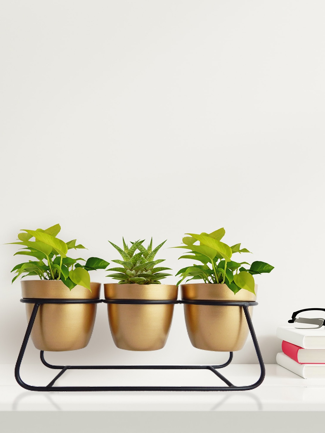 

ecofynd Black 3 Pieces Metal Planters With Stand, Gold