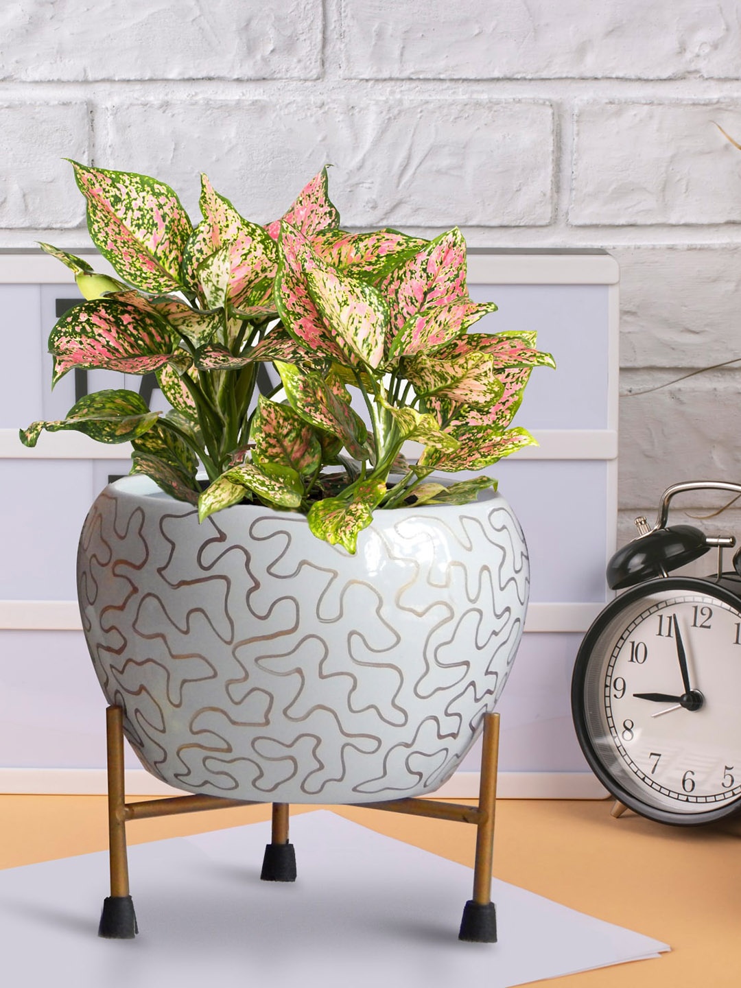 

ecofynd Lio White Set of 2 Printed Metal Pot with Stand