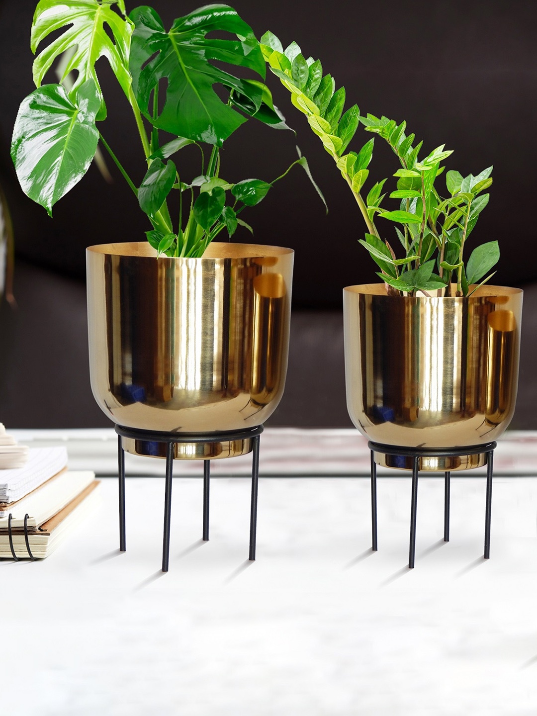 

ecofynd Eva Gold & Black 2 Pieces Metal Planters with Stand