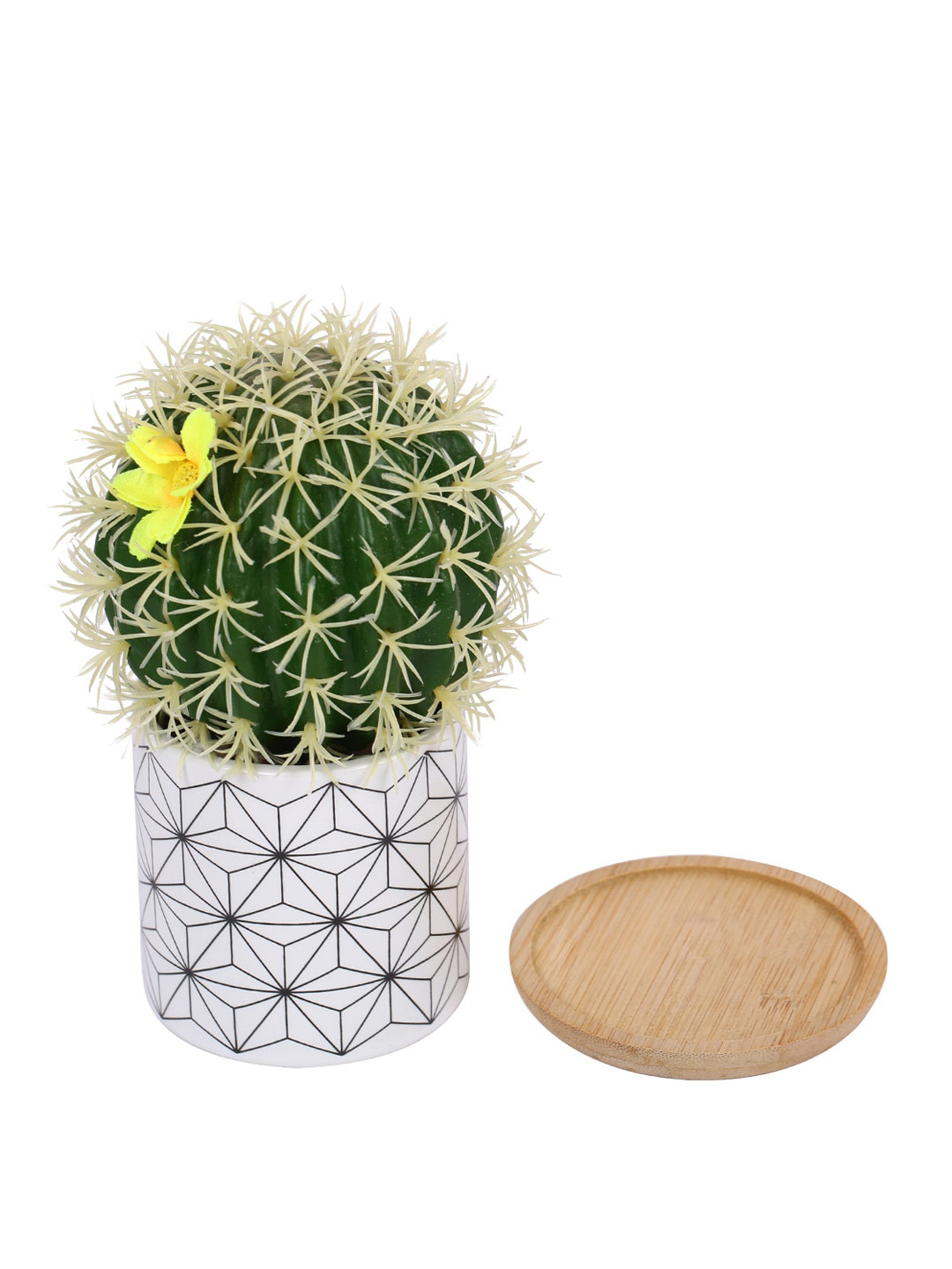 

Fourwalls White & Green Succulent Plant With Pot