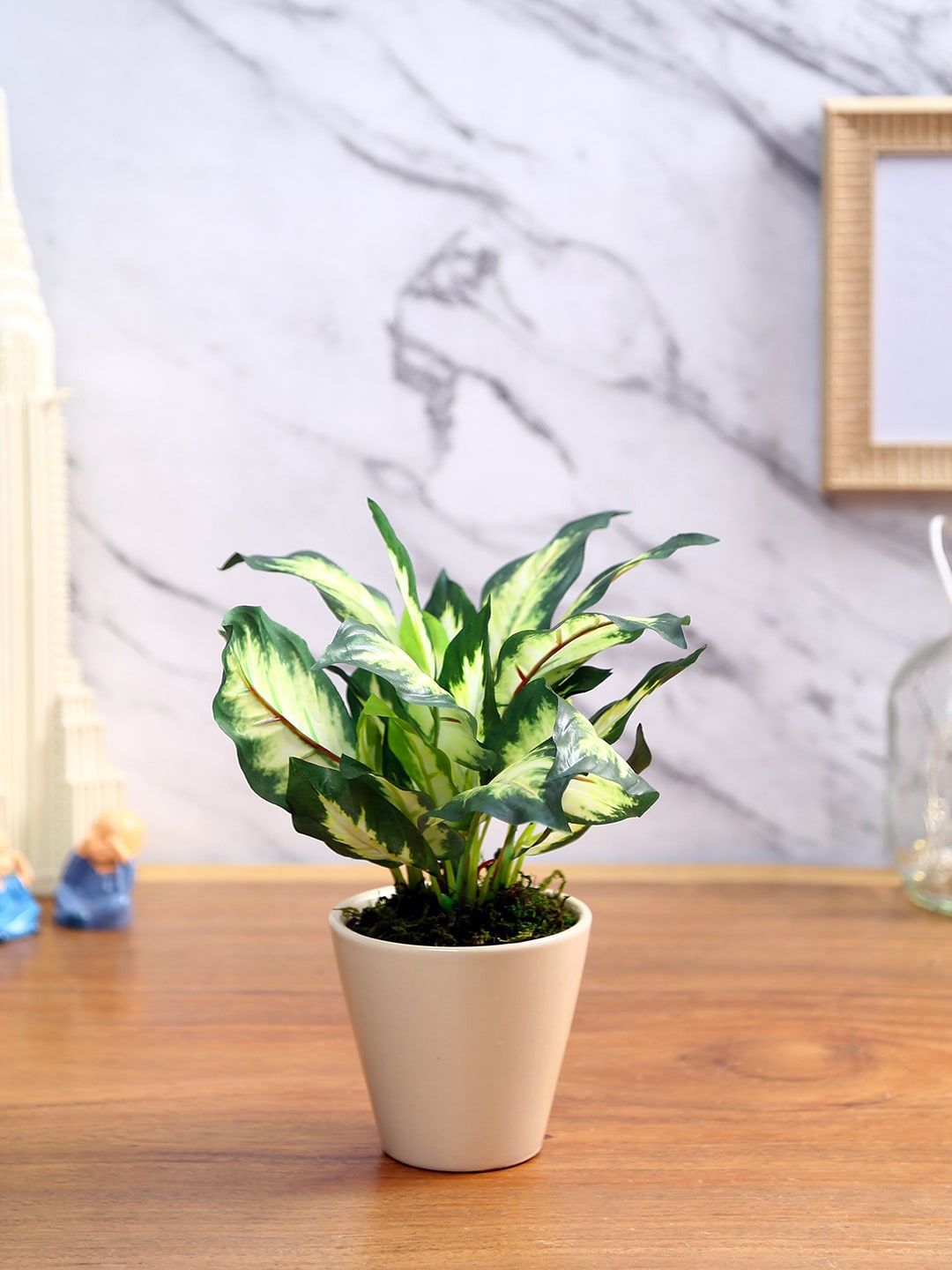 

Fourwalls Green Dieffenbachia Bonsai Plant With Pot
