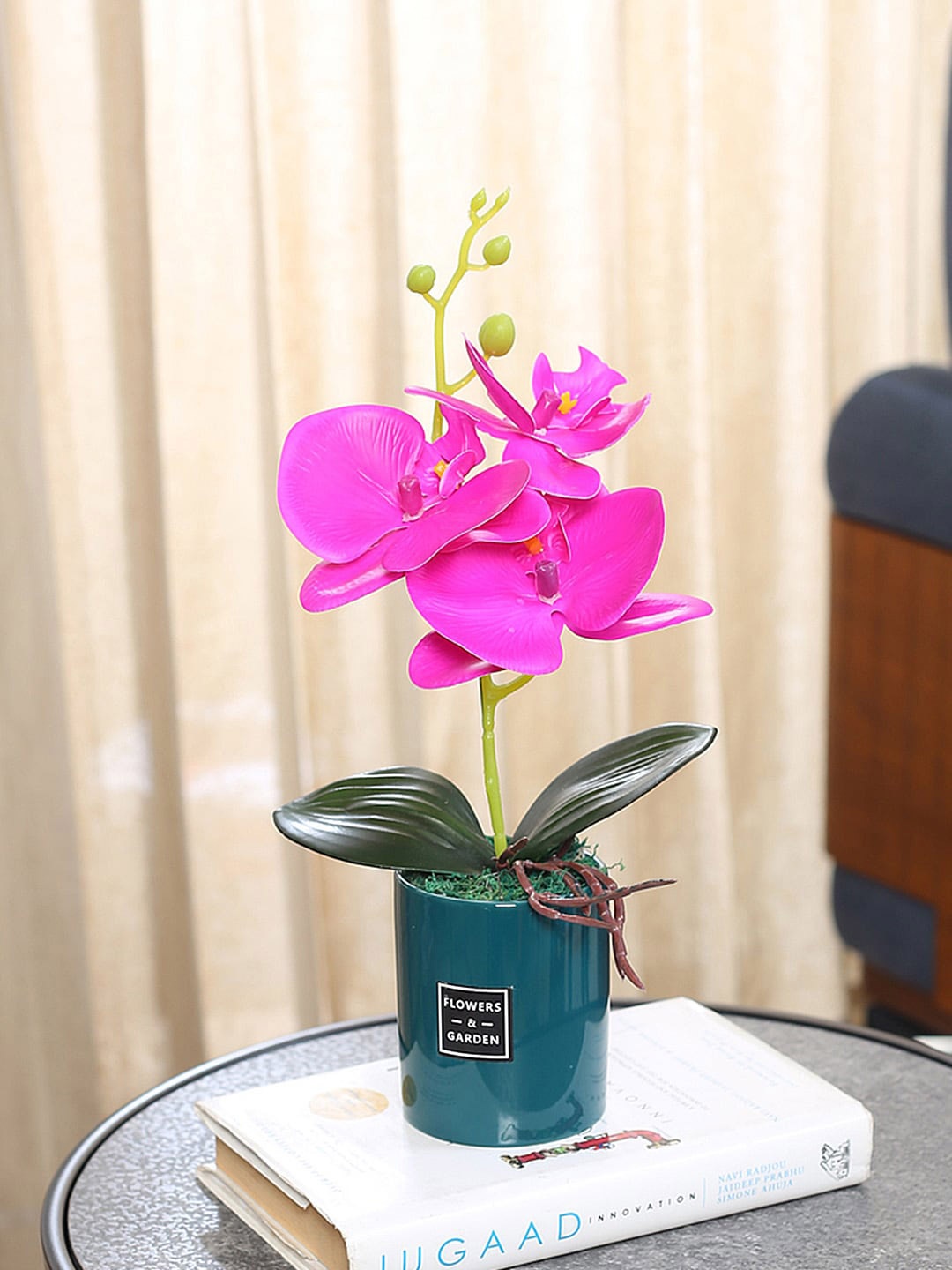 

Fourwalls Purple & Green Orchid Flower Plant With Pot