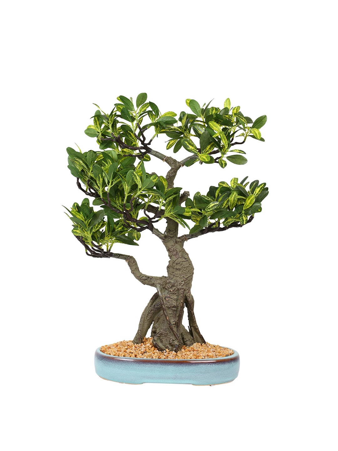 

Fourwalls Green Schefflera Bonsai Artificial Plant With Pot
