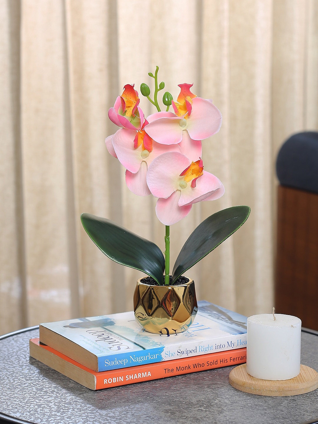 

Fourwalls Pink & Green Orchid Flower Plant With Pot