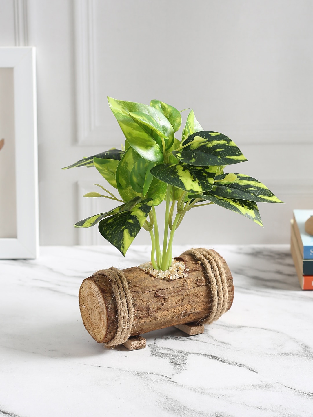 

Fourwalls Green Bonsai Plant With Pot