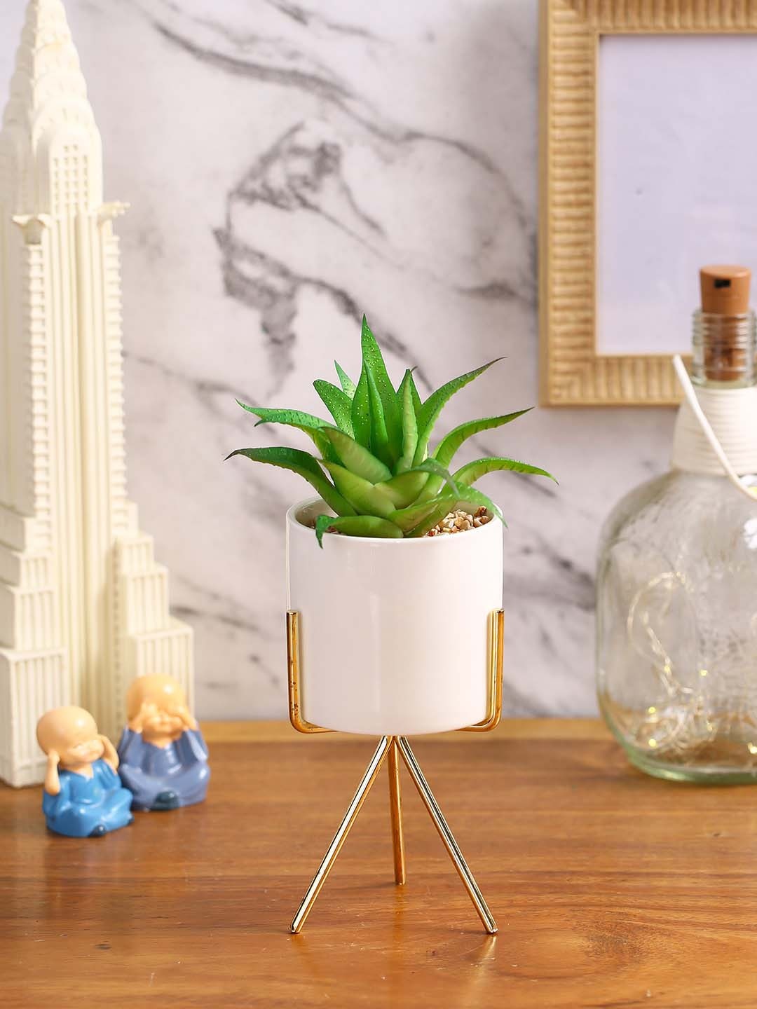 

Fourwalls Green Plant with Ceramic Pot