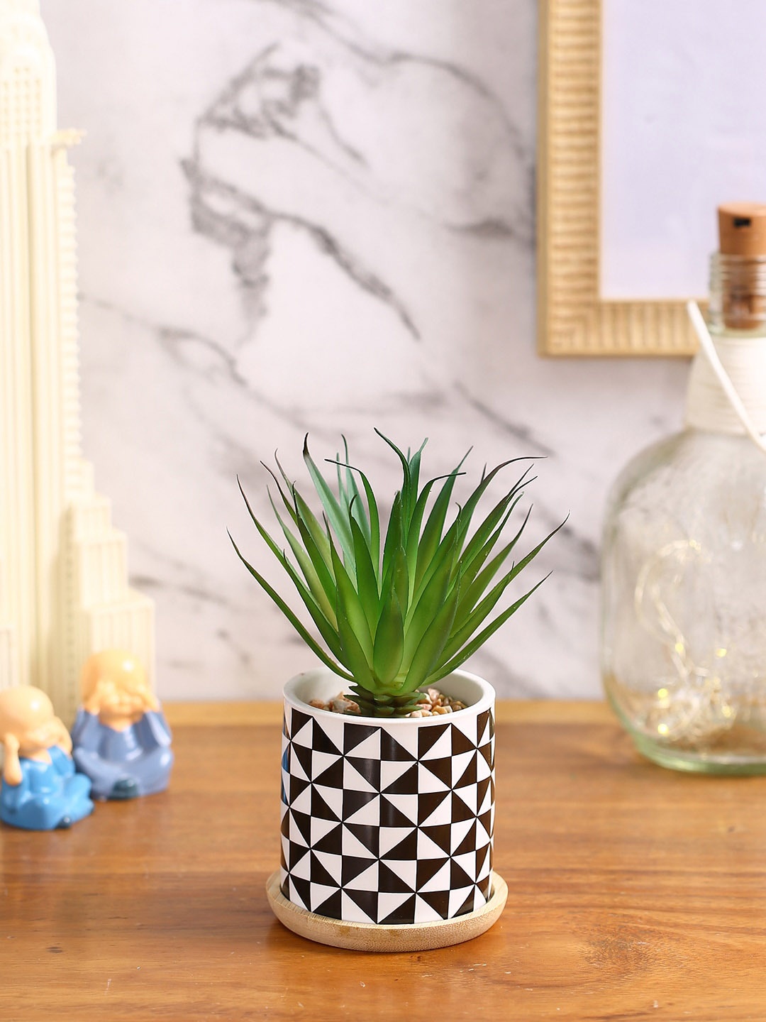 

Fourwalls Green & Black Succulent Plant With Ceramic Pot