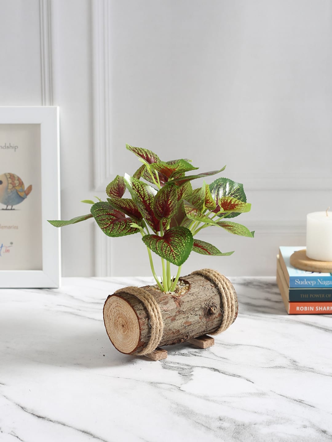 

Fourwalls Green Plant with Wooden Pot