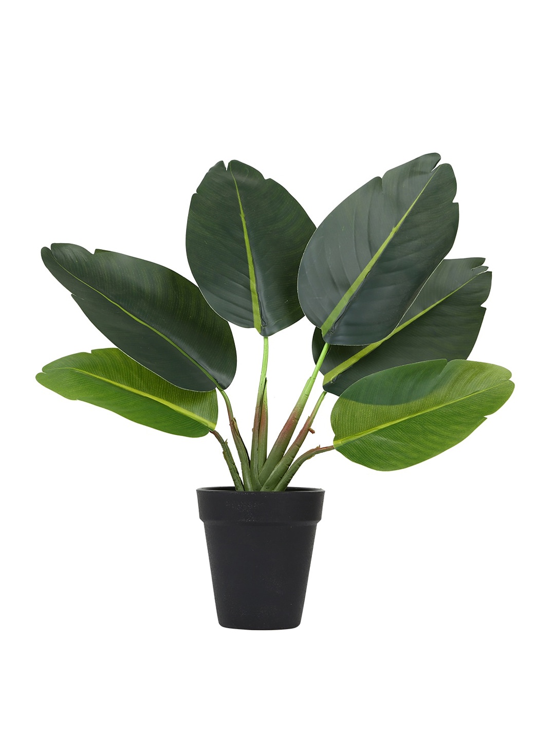 

Fourwalls Green Palm Bonsai Plant with Plastic Pot