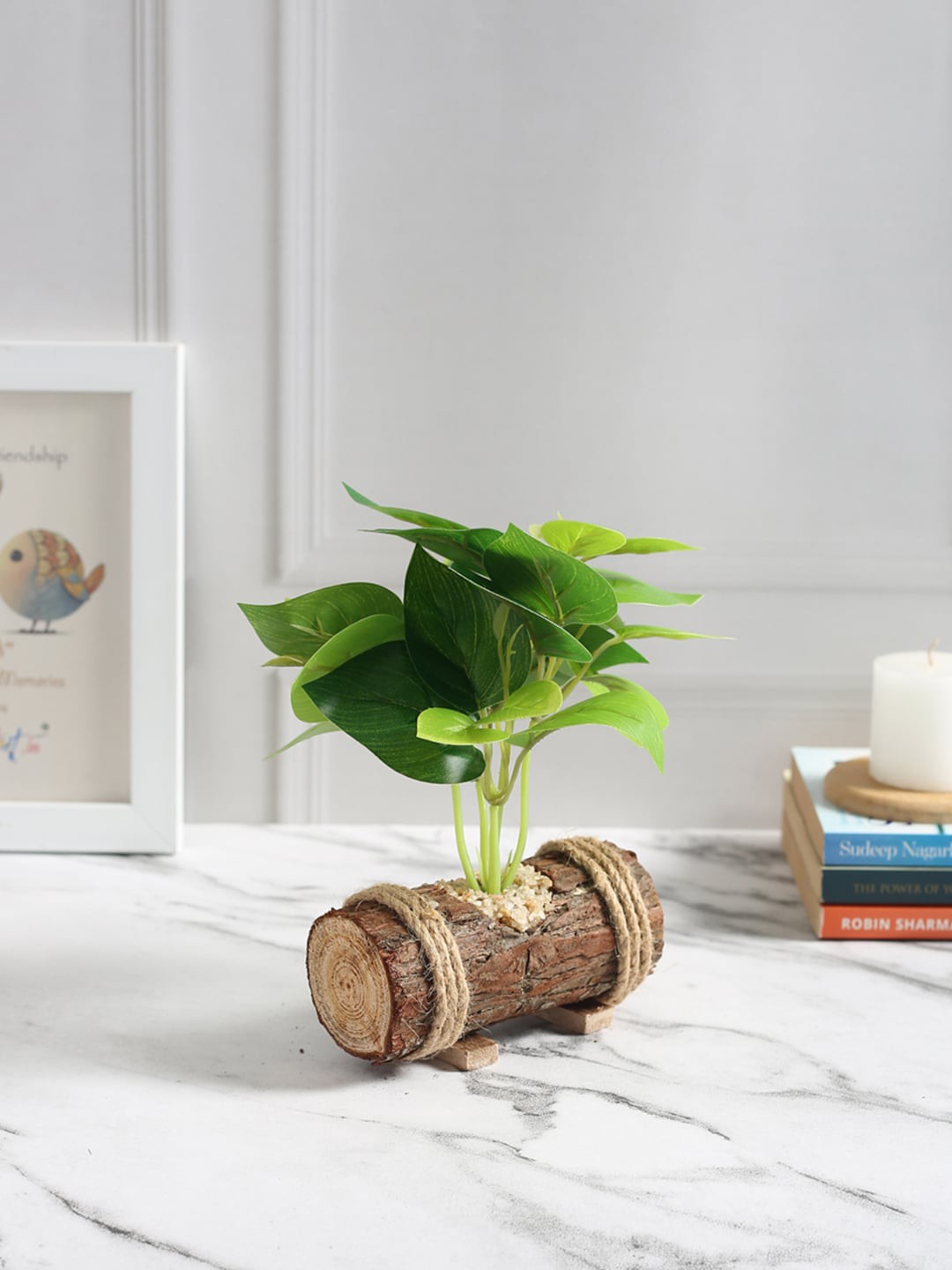 

Fourwalls Green & Brown Bonsai Plant With Wooden Pot
