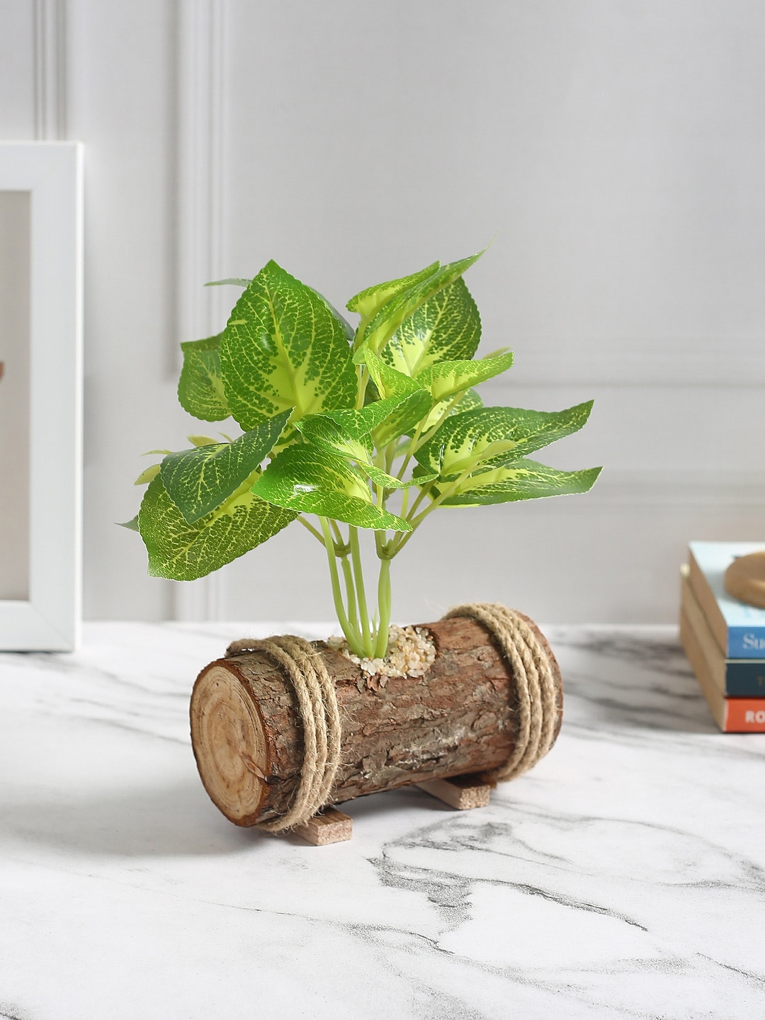 

Fourwalls Green & Brown Bonsai Plant With Wooden Pot
