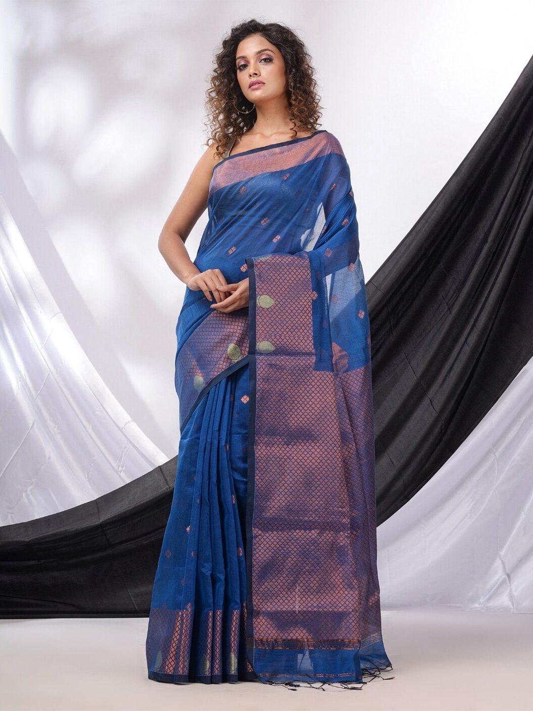 

Charukriti Ethnic Motifs Woven Design Zari Saree, Blue