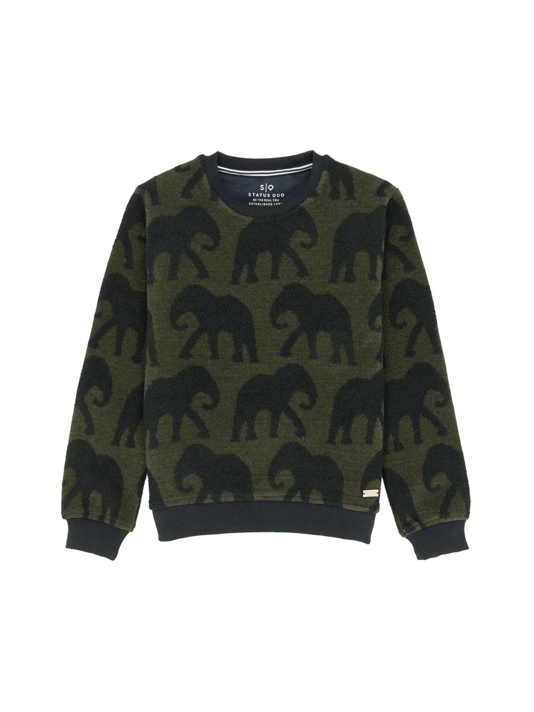 

Status Quo Boys Conversational Printed Cotton Pullover, Olive