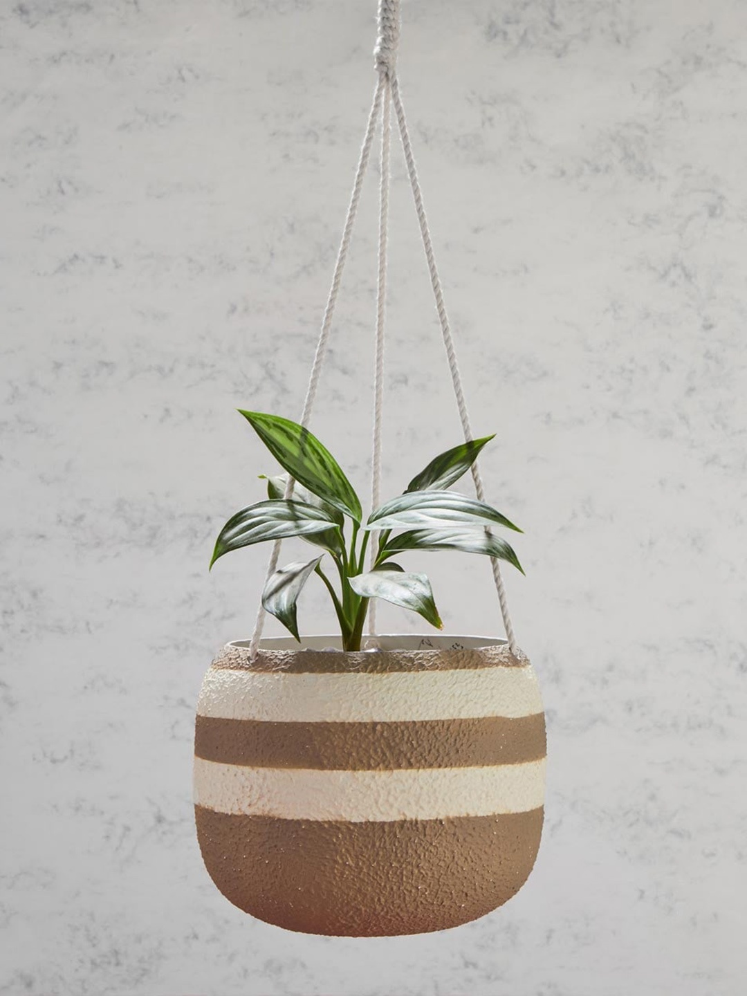 

Fabindia Beige & Brown Striped Metal Hanging Planter