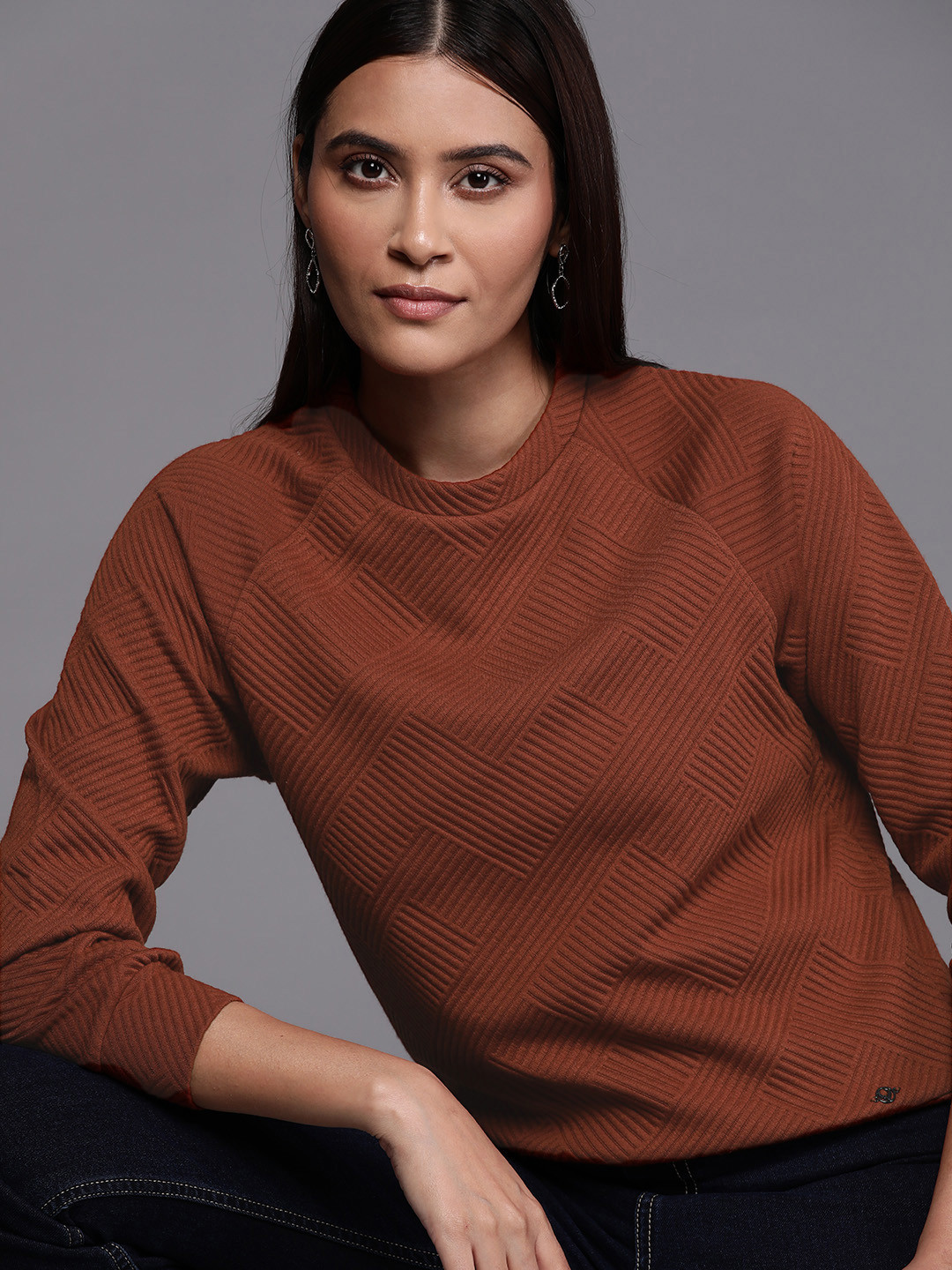 

Allen Solly Woman Self Design Sweatshirt, Brown