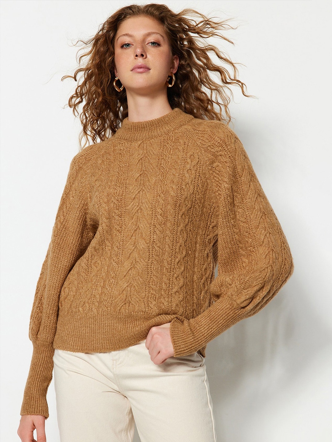

Trendyol Turtle Neck Self Design Cable Knit Pullover, Brown