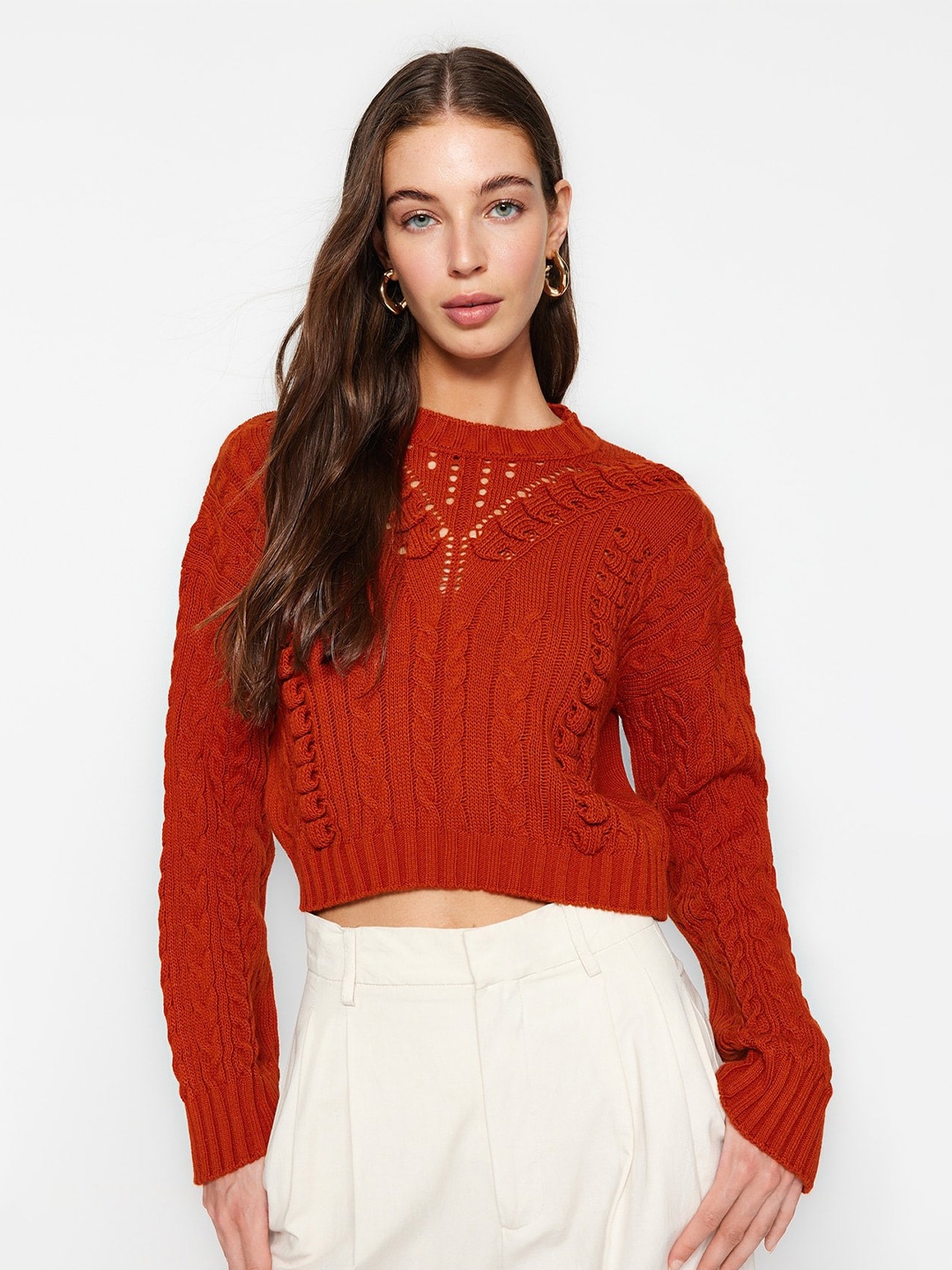 

Trendyol Cable Knit Self Design Acrylic Crop Pullover, Brown