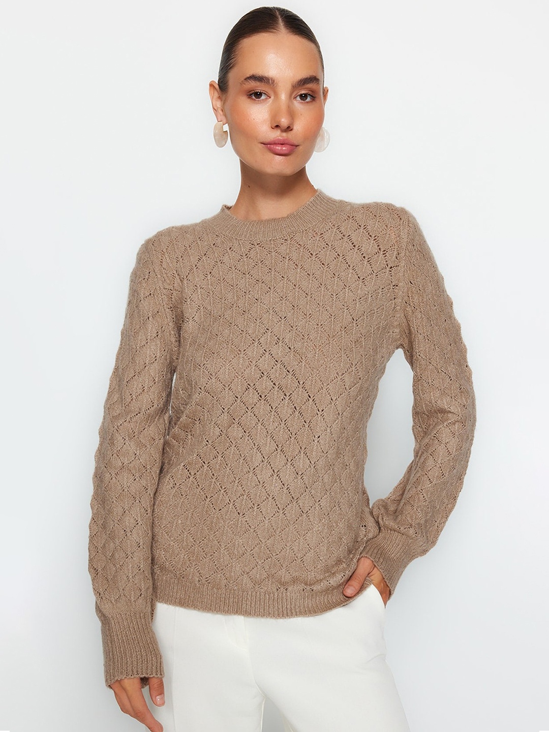 

Trendyol Self Design Open Knit Pullover, Brown