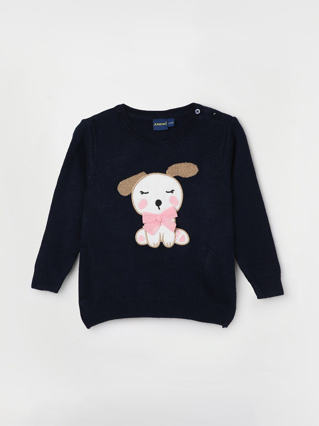 

Juniors by Lifestyle Girls Self Design Acrylic Pullover, Navy blue