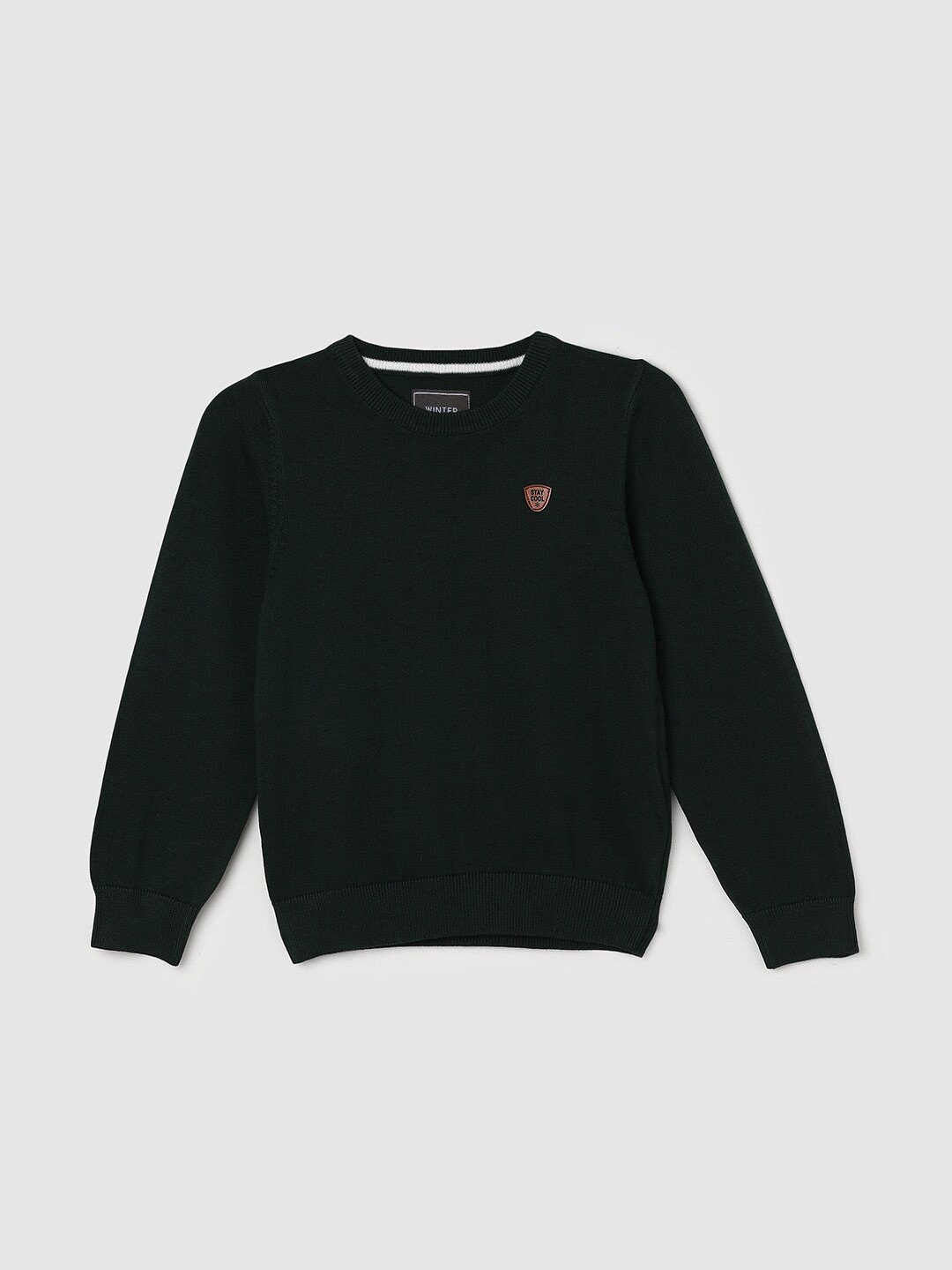 

max Boys Ribbed Pure Cotton Pullover, Green