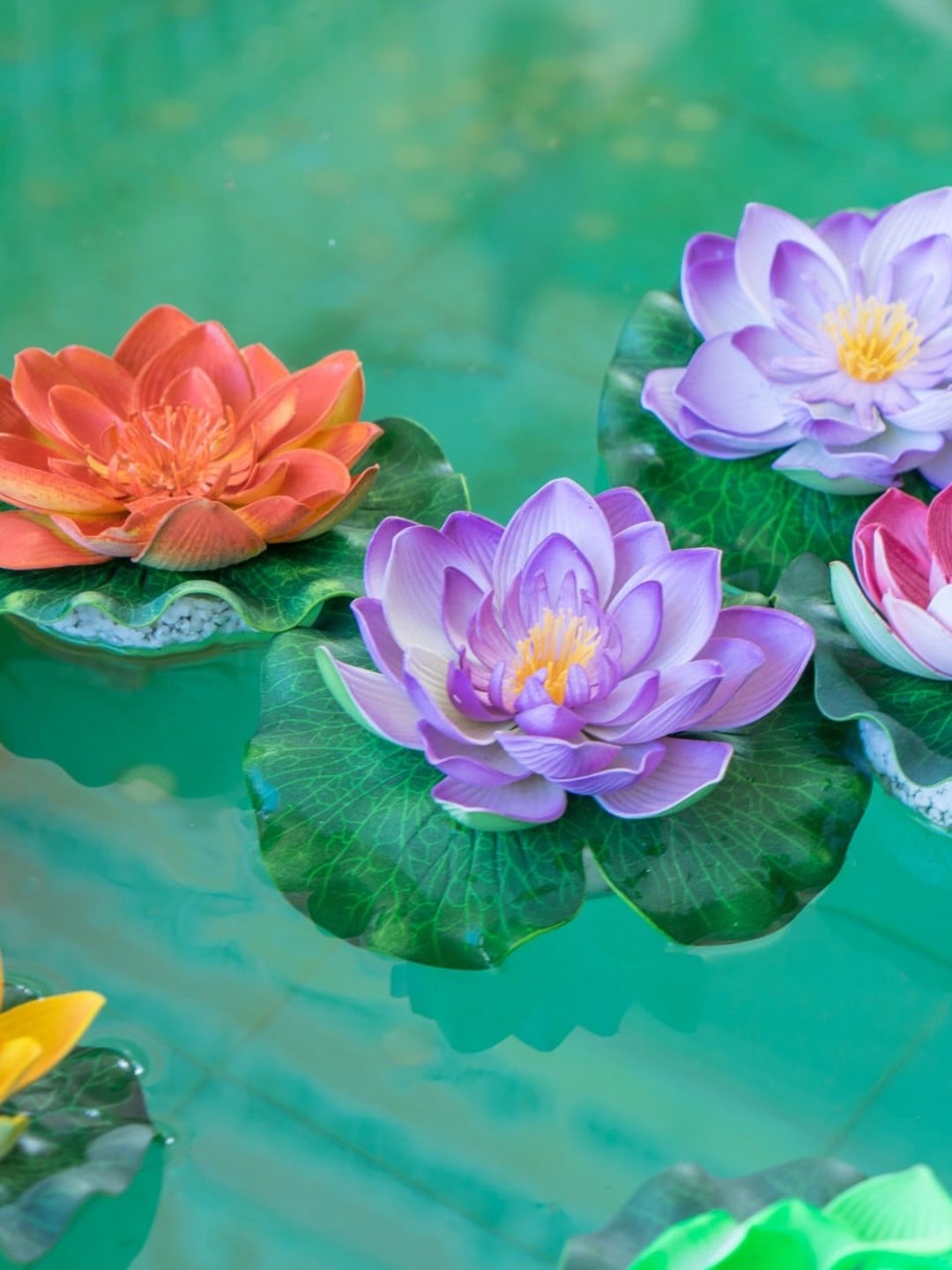 

Akaar Pack Of 5 Assorted Lotus Flower, Red