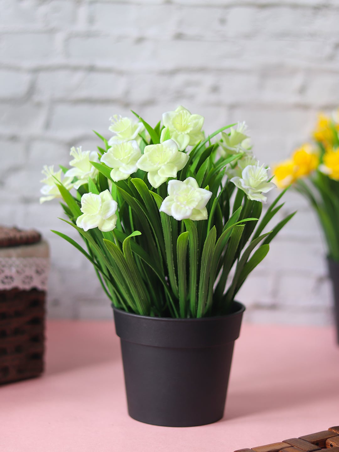 

MARKET99 Green & Yellow Plant With Plastic Pot