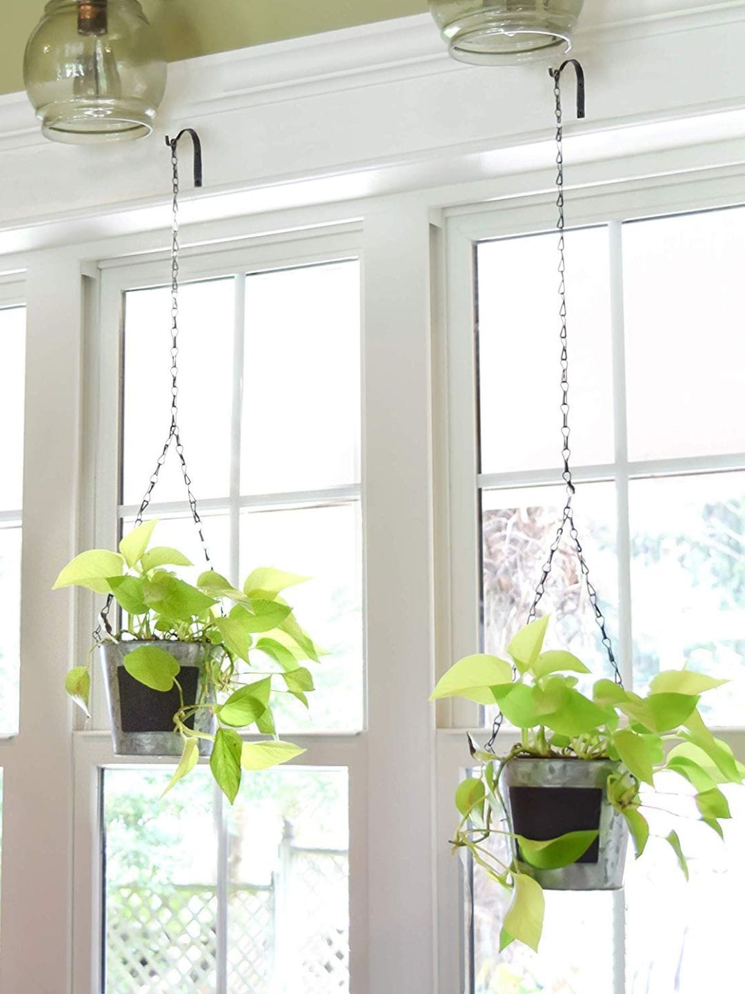 

ecofynd Pack of 2 Black Metal Wall Hook Hanging Plant Bracket