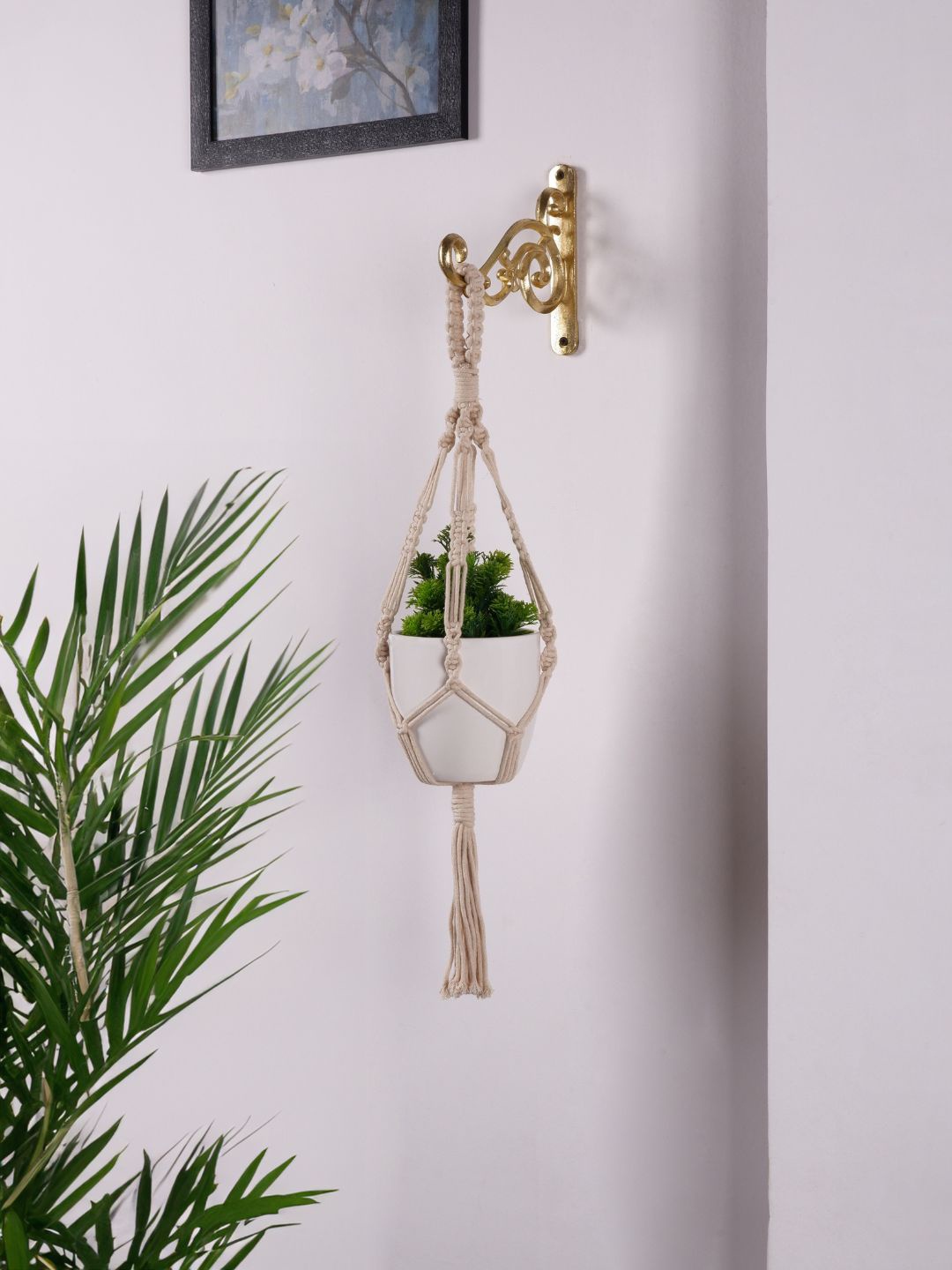 

ecofynd Pack of 1 Black Metal Wall Hook Hanging Plant Bracket, Gold