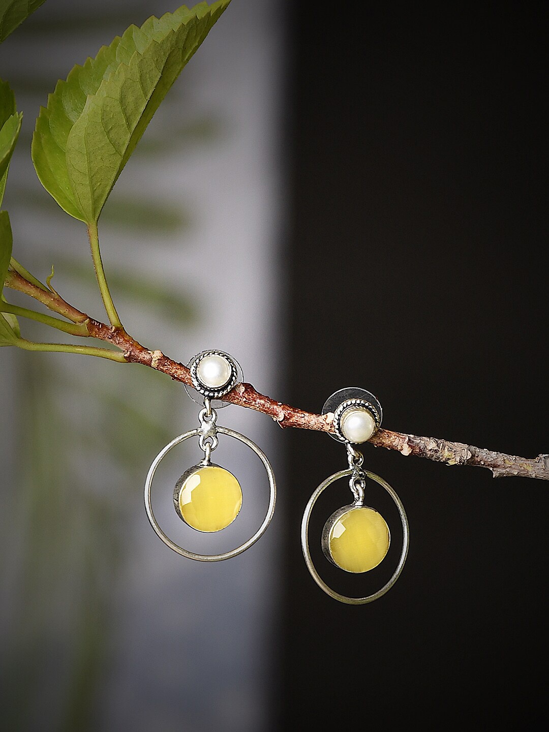 

Bamboo Tree Jewels Silver-Plated Contemporary Drop Earrings