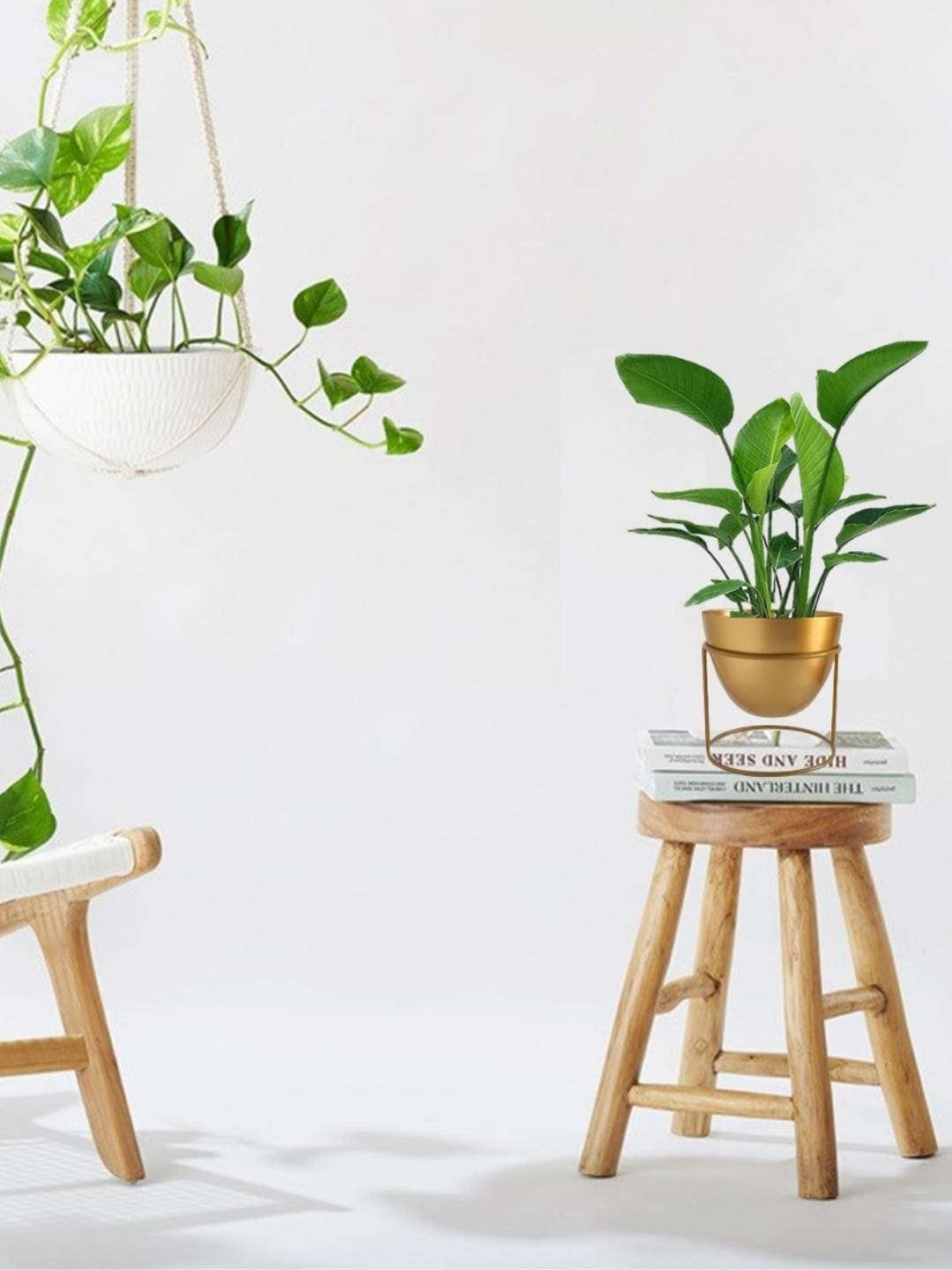 

ecofynd Metal Planter With Stand, Gold