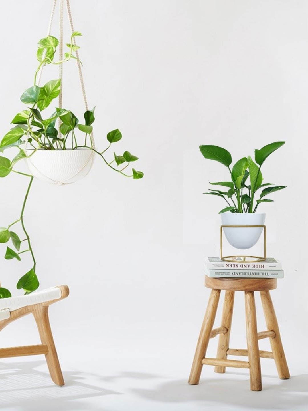 

ecofynd White Metal Planter With Stand