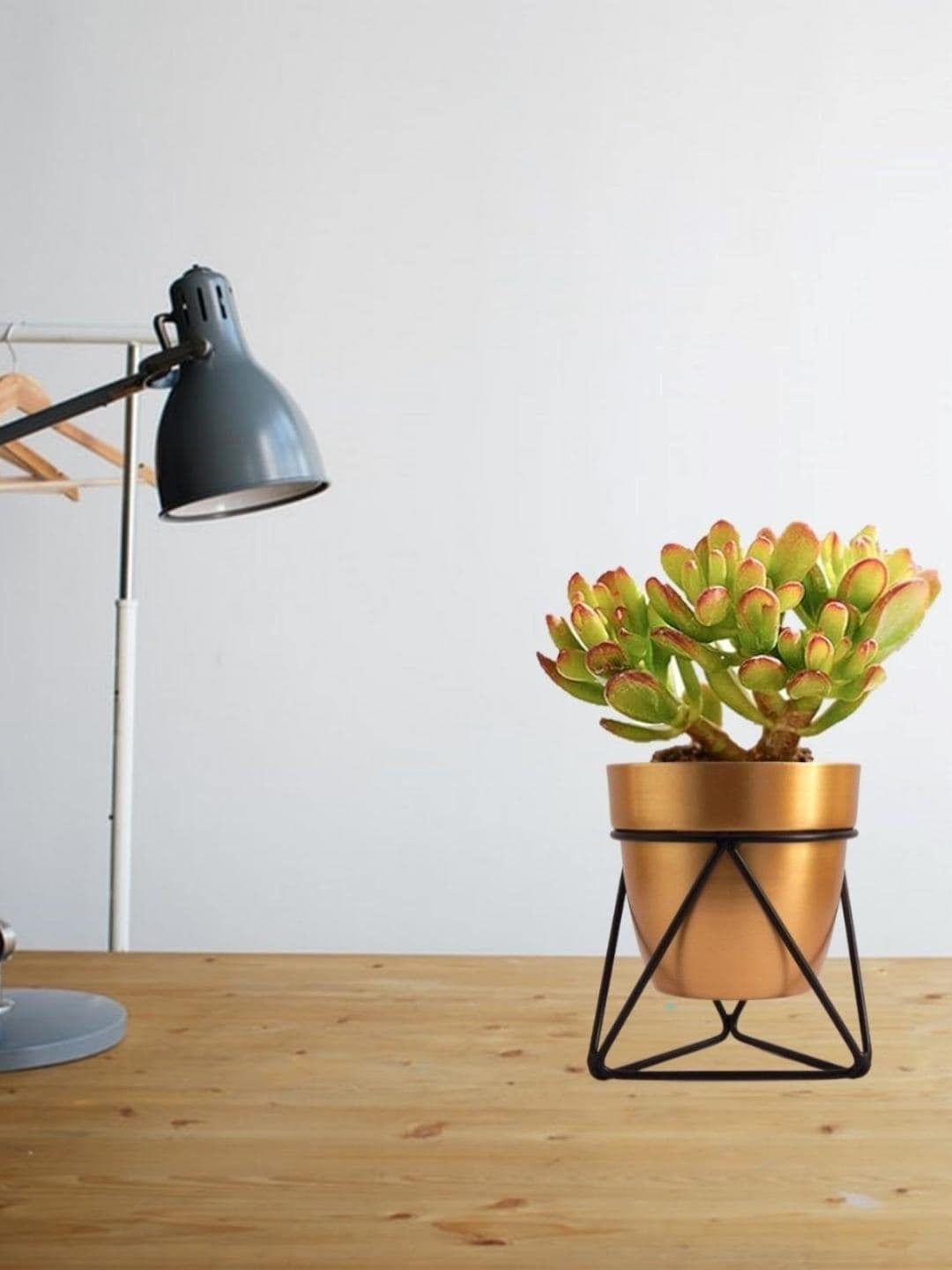 

ecofynd Gold-toned & Black Metal Planter Pot With Stand