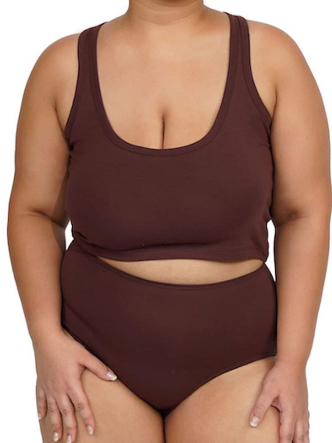 

Butt-Chique Plus Size High-Rise Anti-Odour Hipster Briefs, Brown