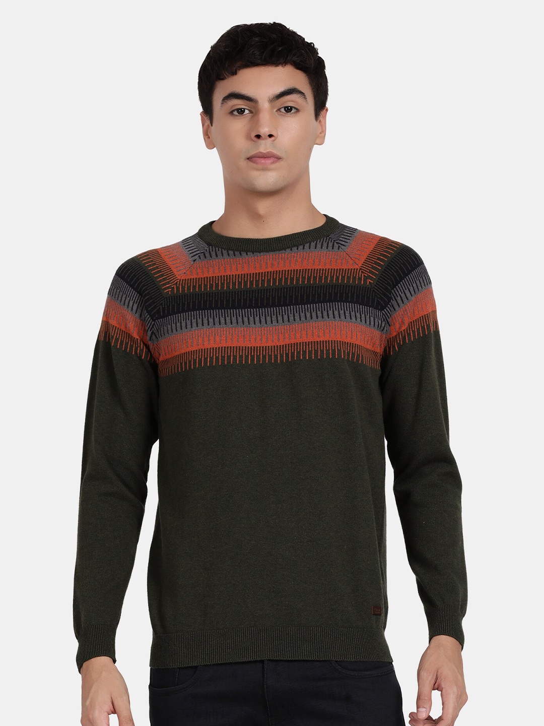 

t-base Striped Round Neck Cotton Pullover, Green