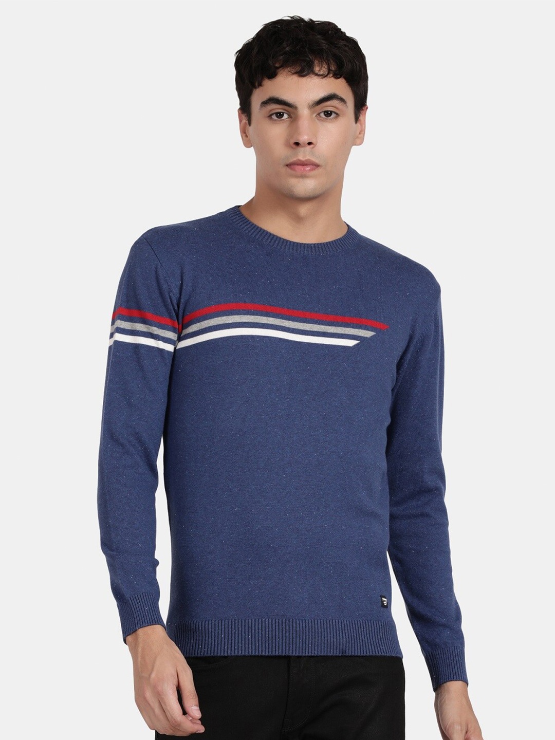 

t-base Striped Round Neck Cotton Pullover Sweater, Navy blue